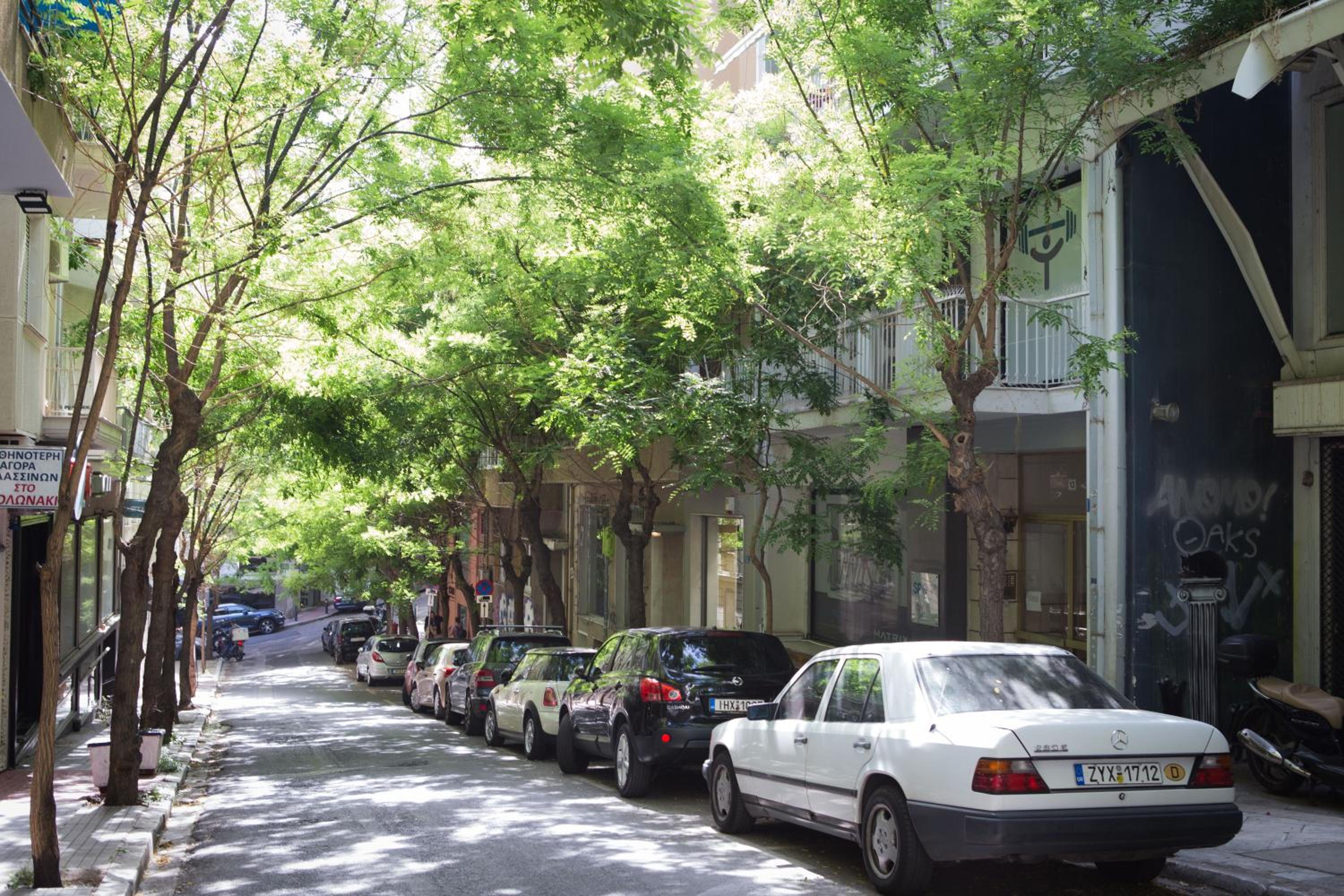 Stylish, comfortable, basement loft-like apartment with amenities