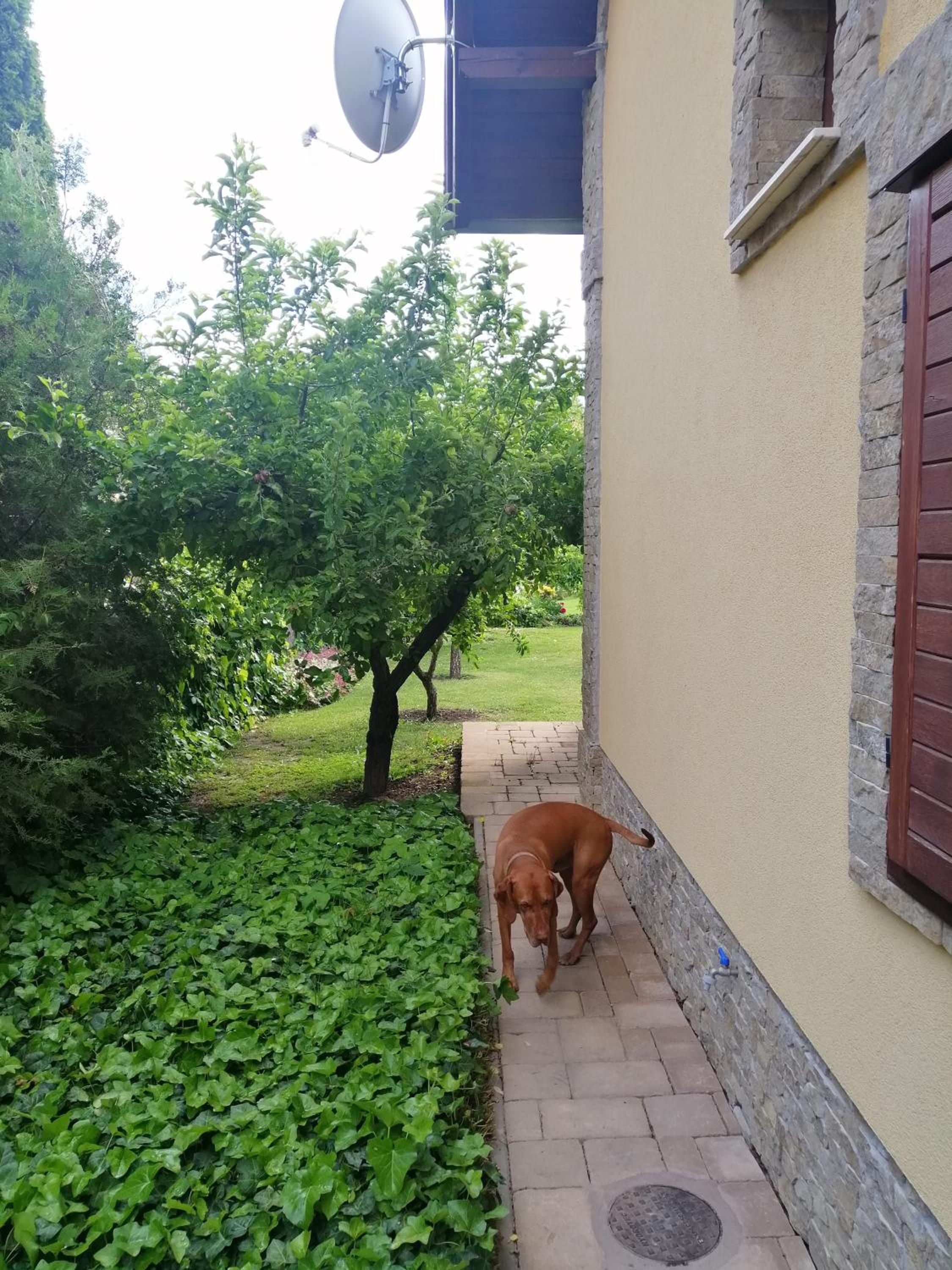Photo 23