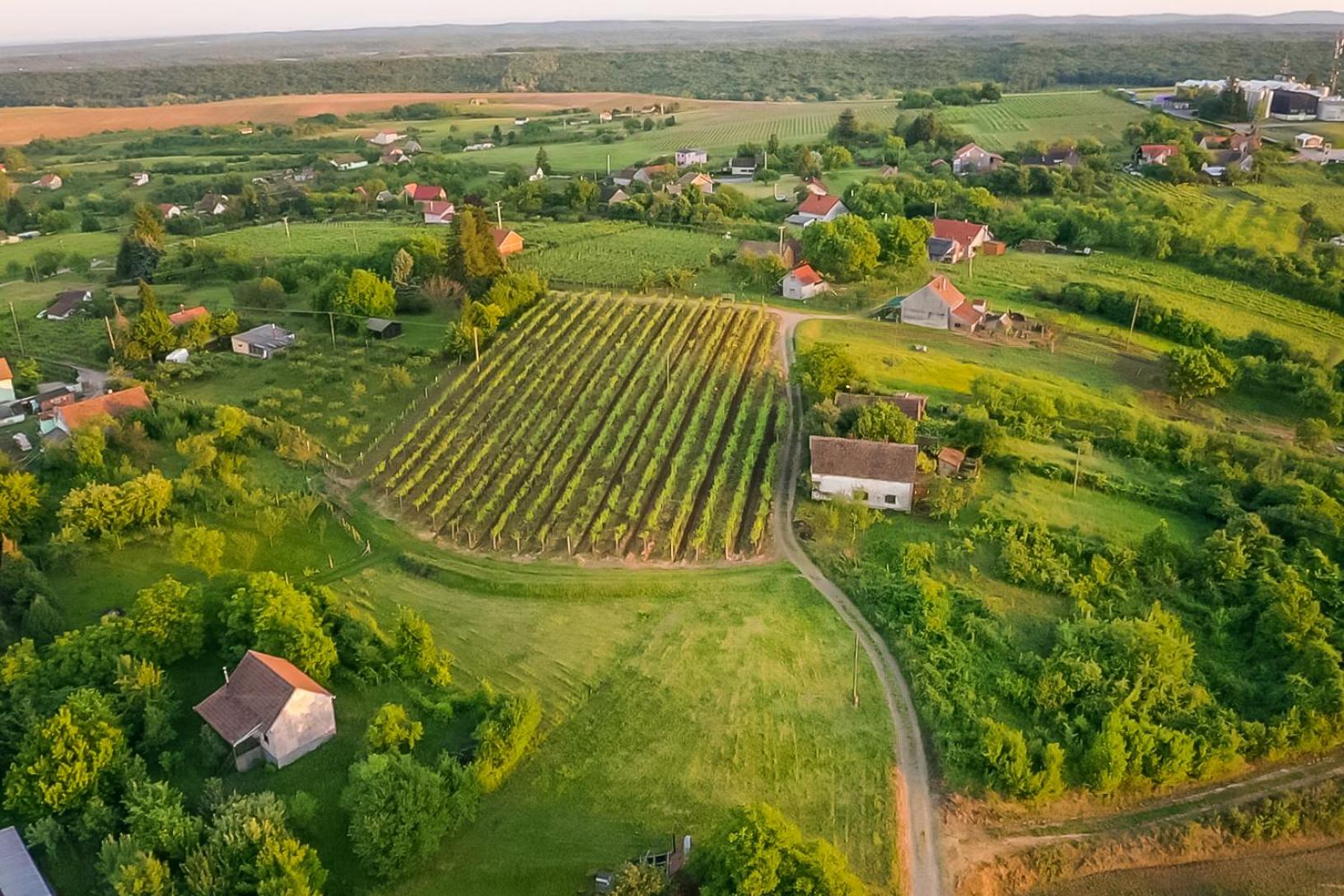 Village Wine House view 4