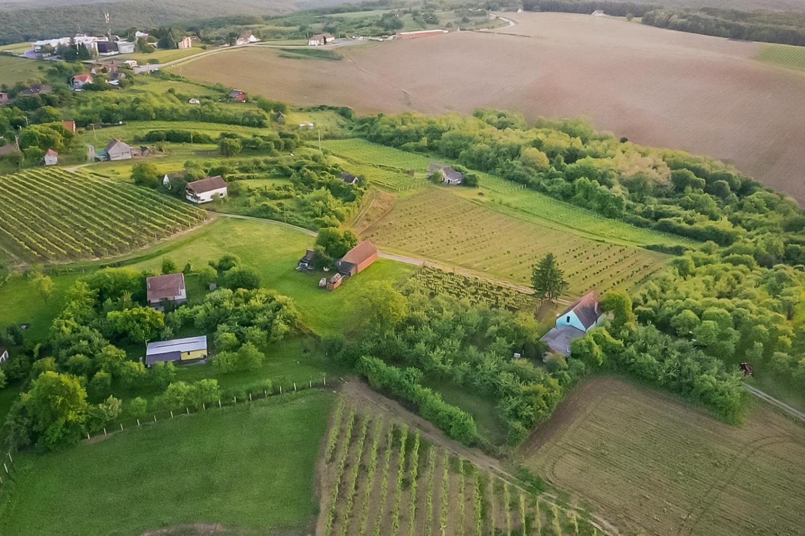 Village Wine House view 5