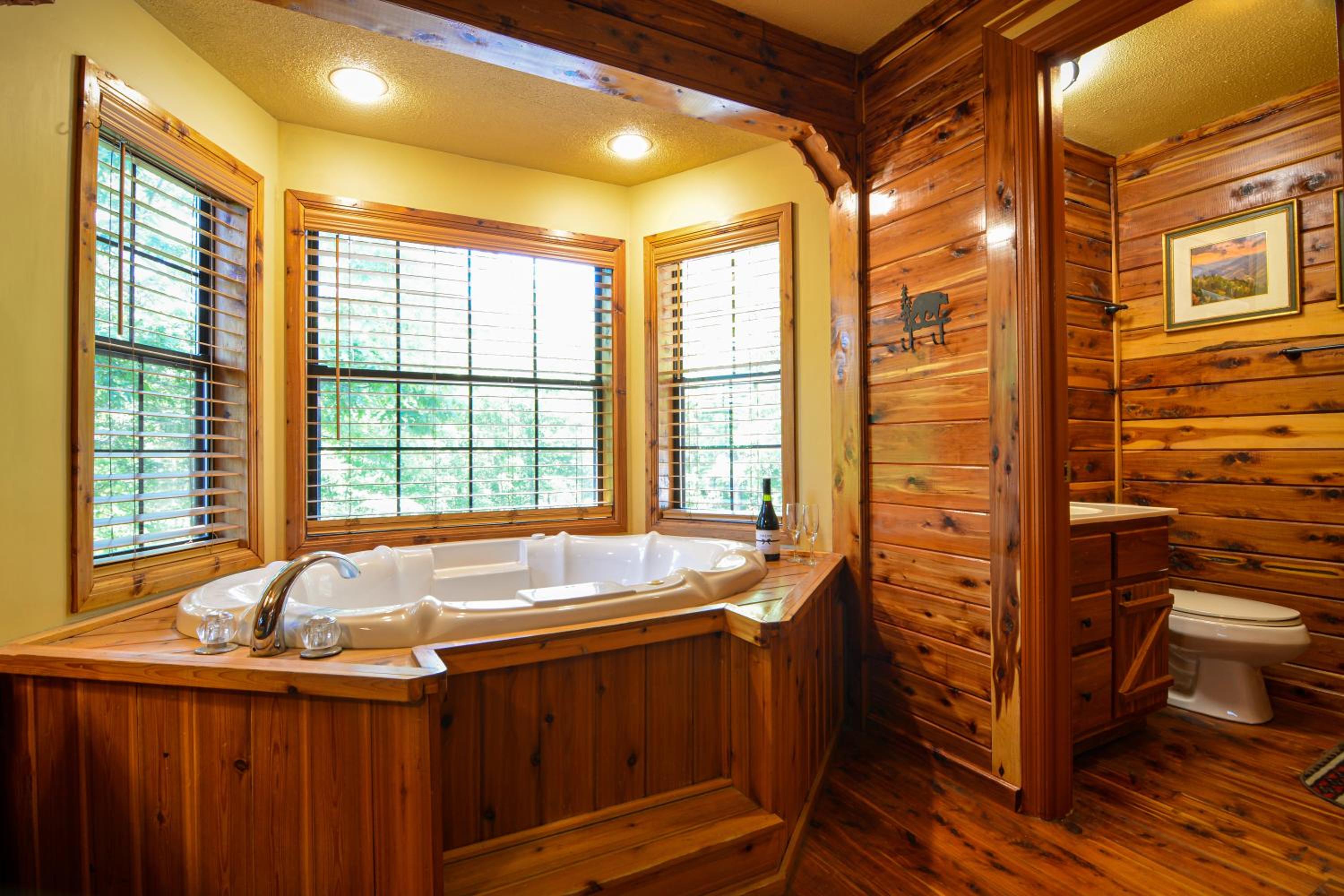 Gatlinburg - Moonlight Mountain Views view 4