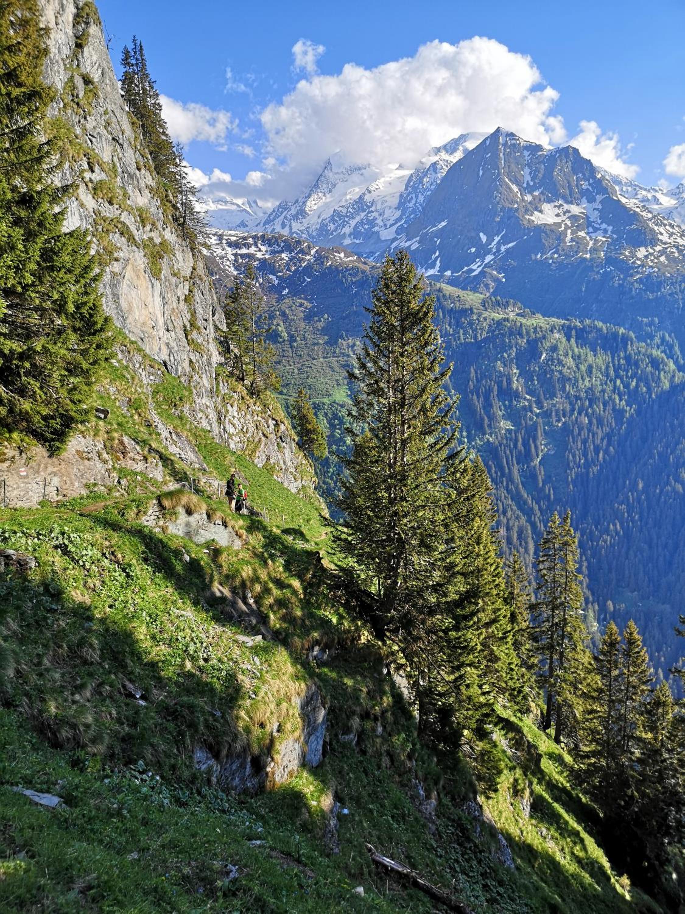 Le cocon du Catogne proche Martigny Verbier - Netflix -