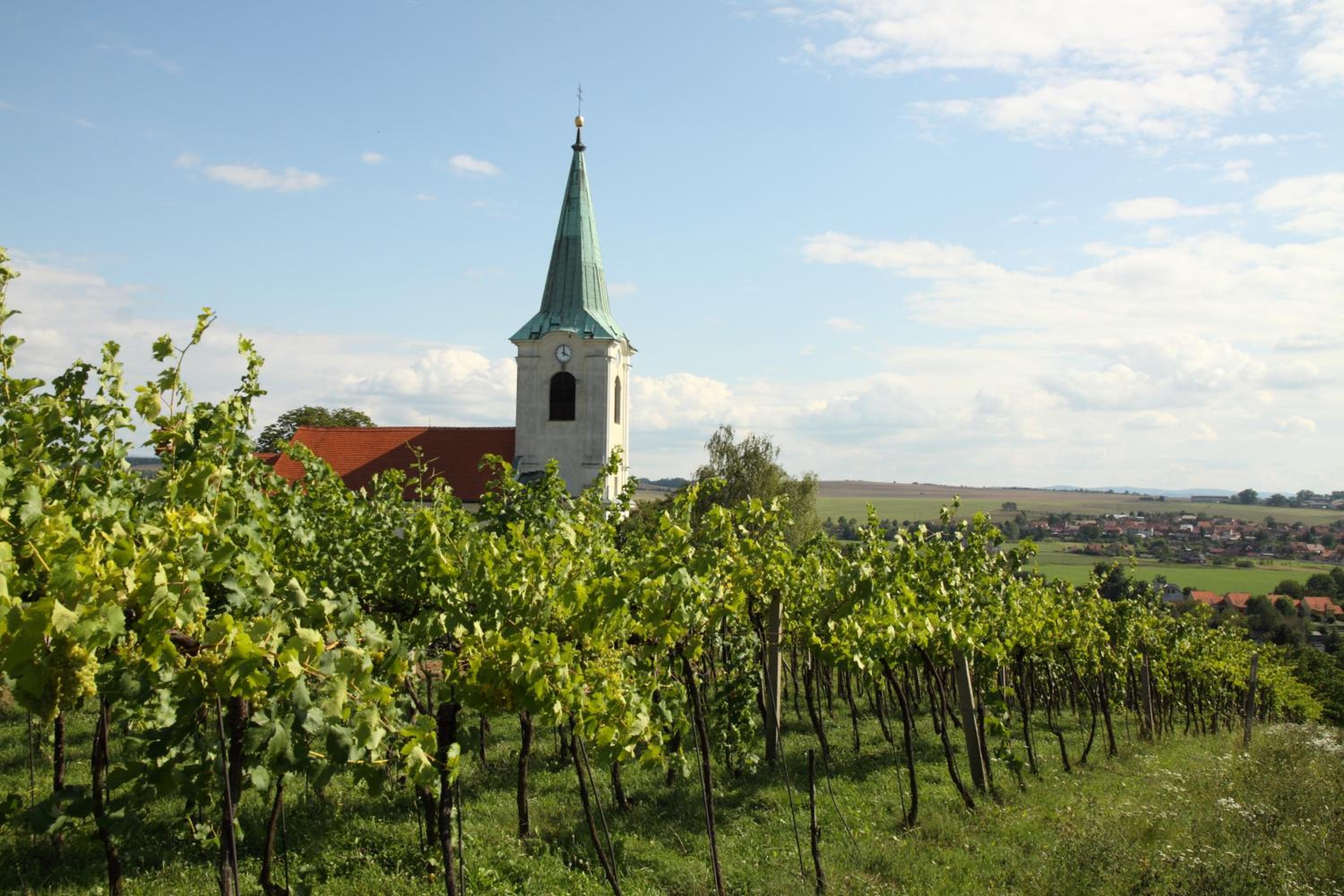 Ubytování ve Vinařství Medek | Medek House & Winery