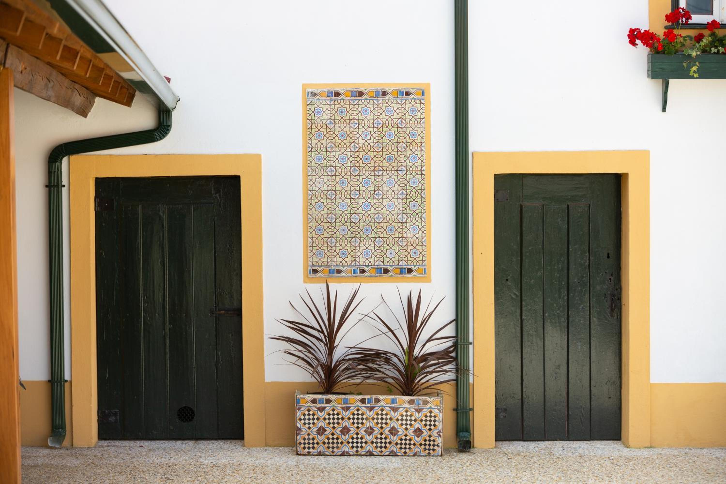 Casa D'Oliveira