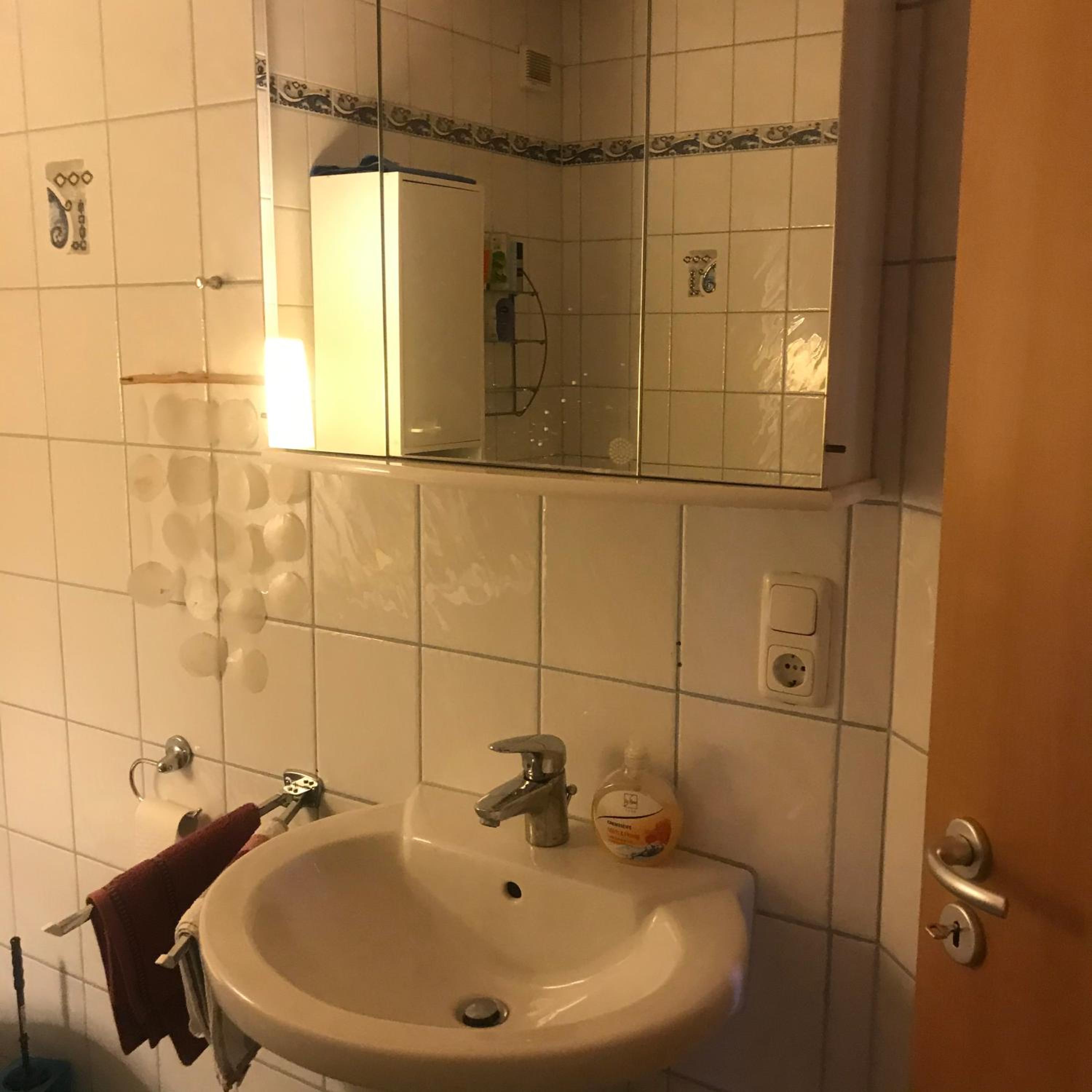 Ferienwohnung Am Grunen Band - Property Image 10