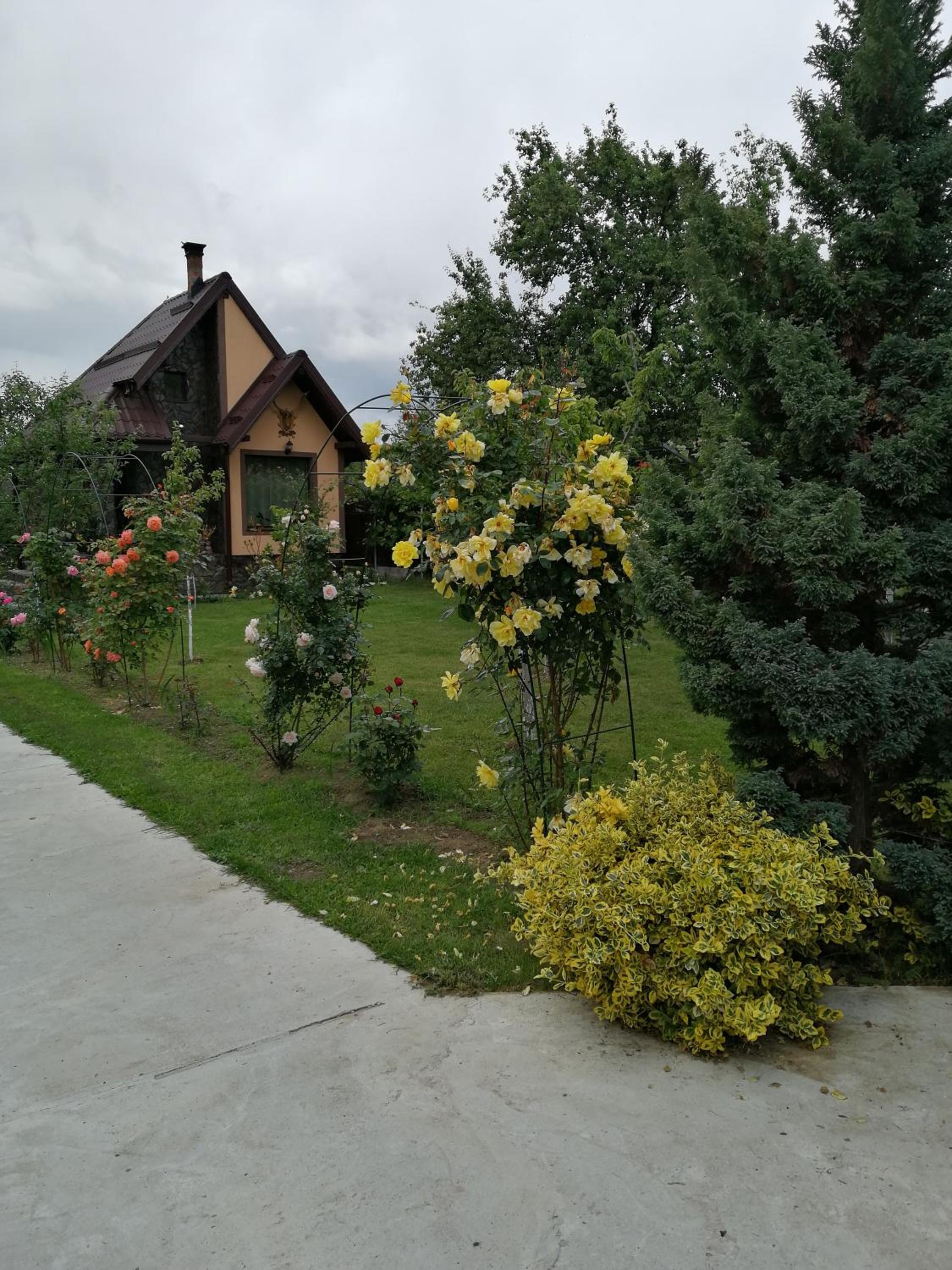 Photo 19