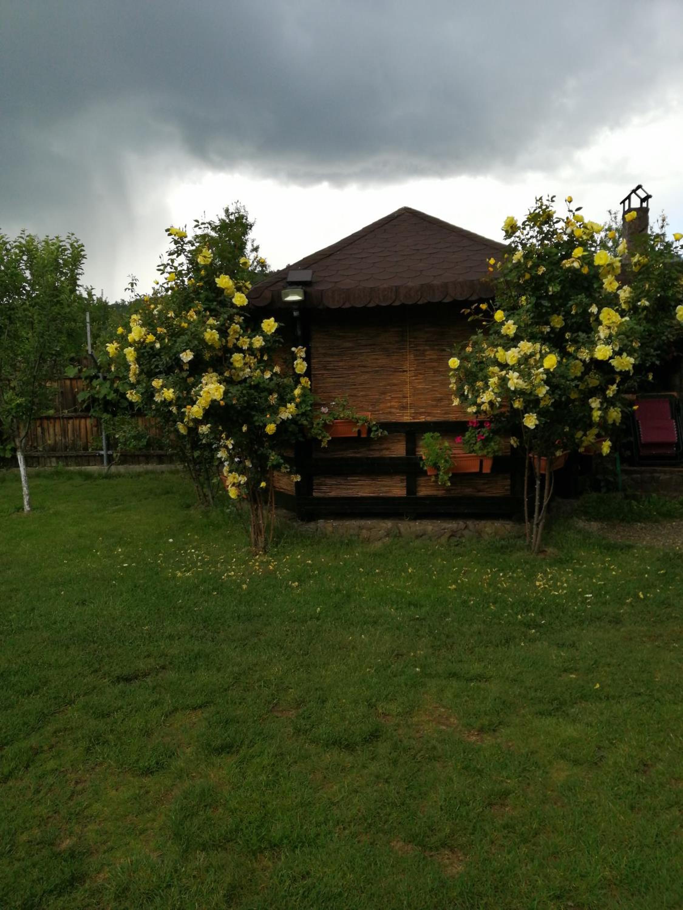 Photo 20