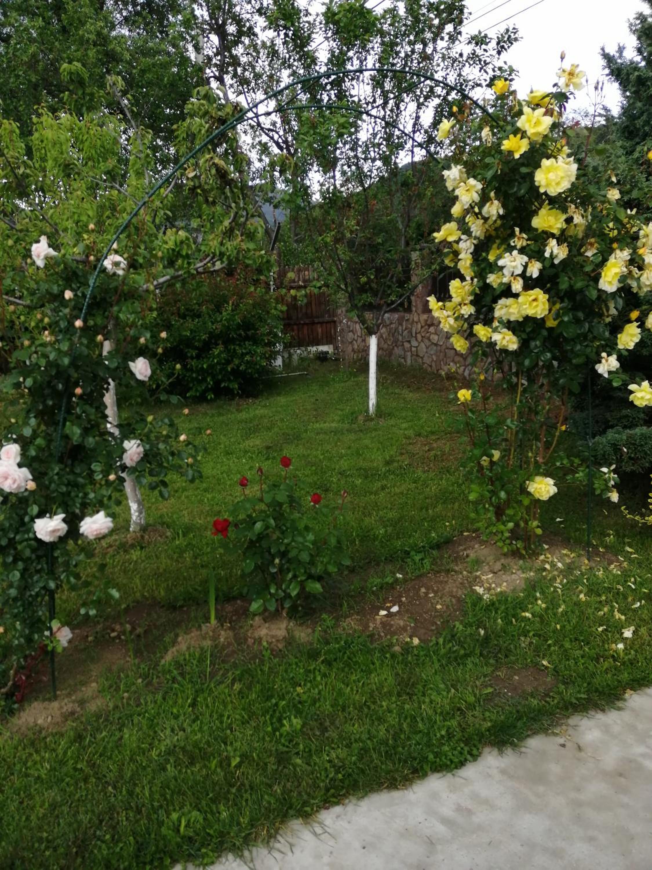 Photo 24