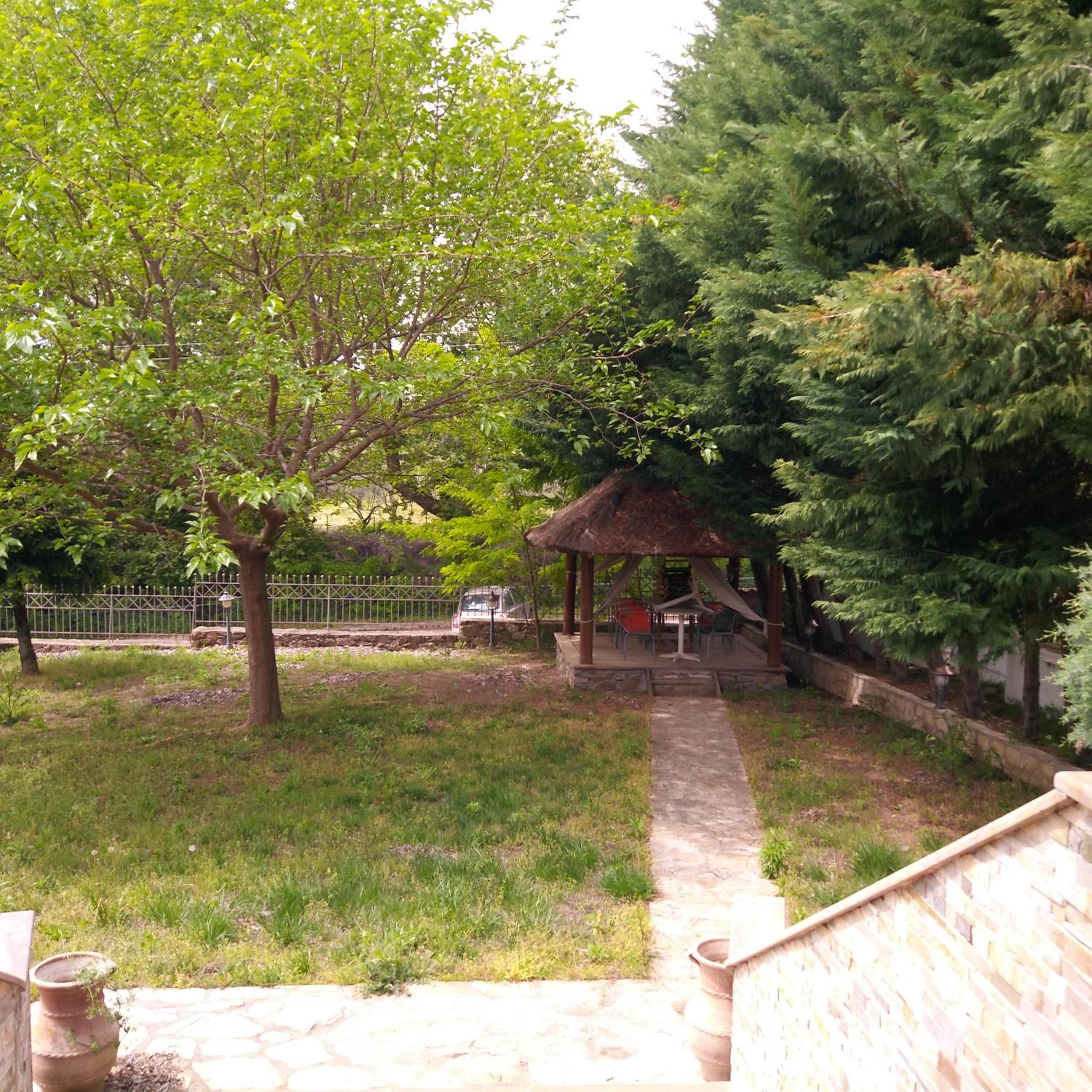 Photo 21