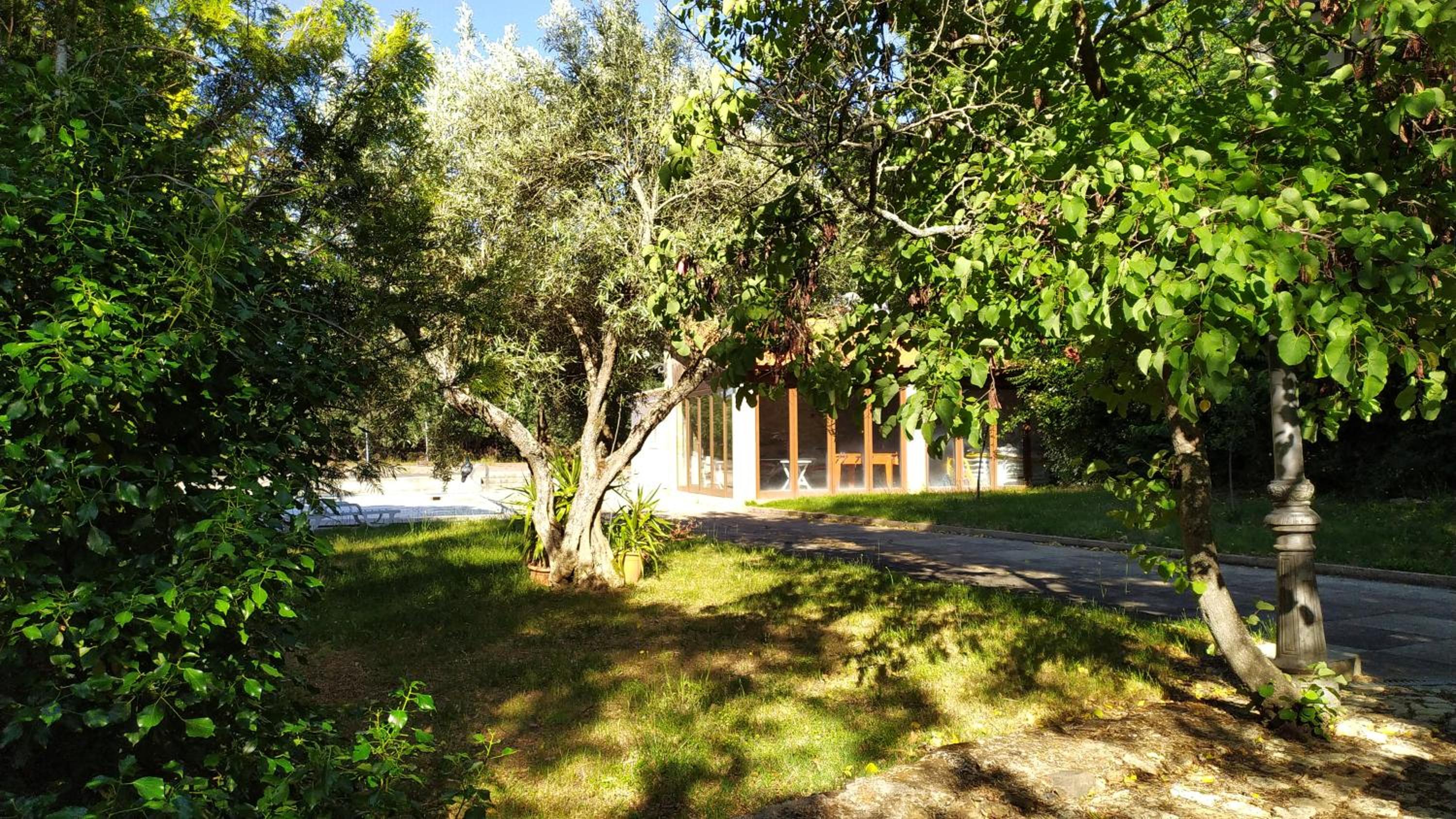 Photo 8