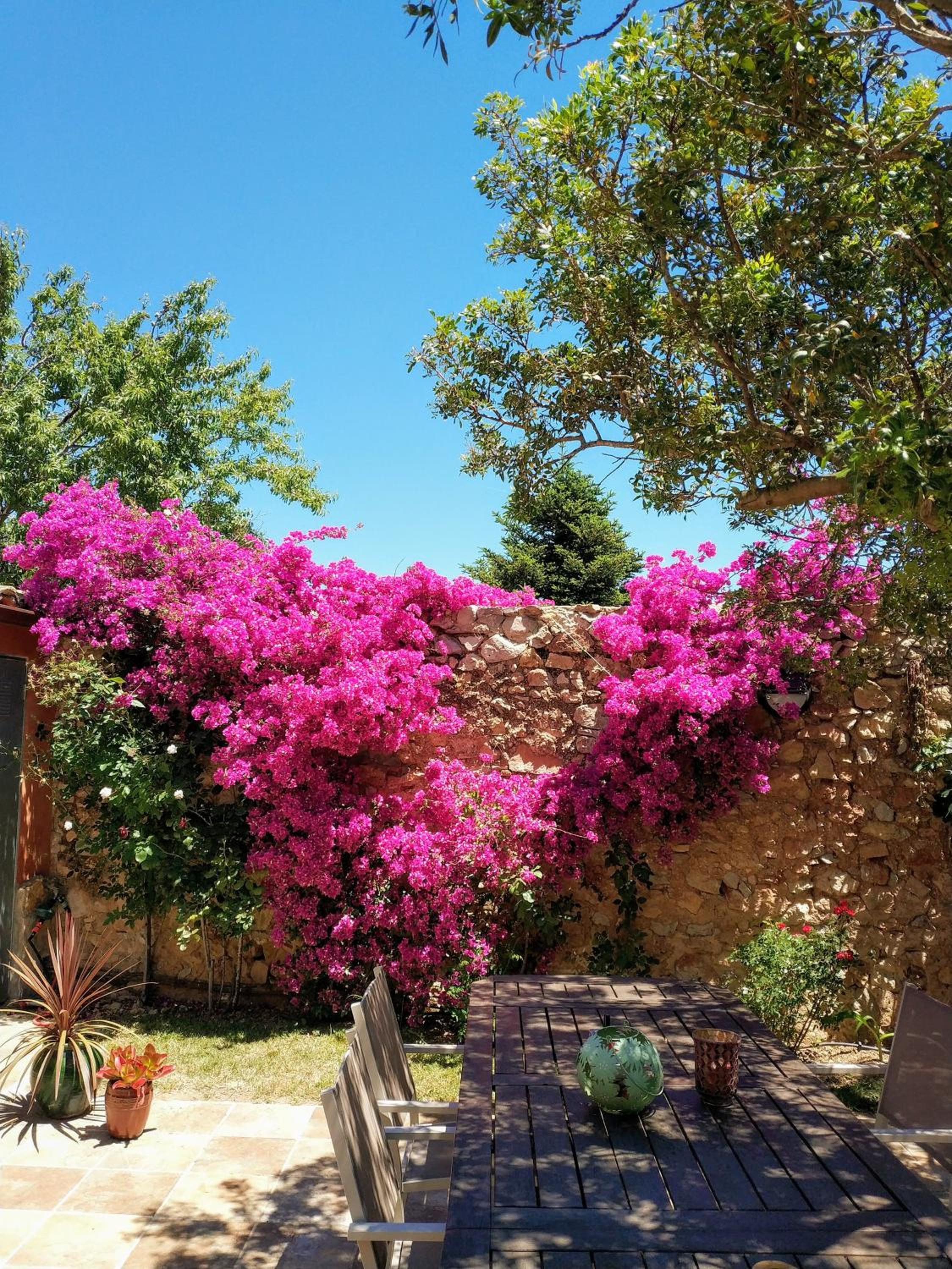Casa la Coma view 4