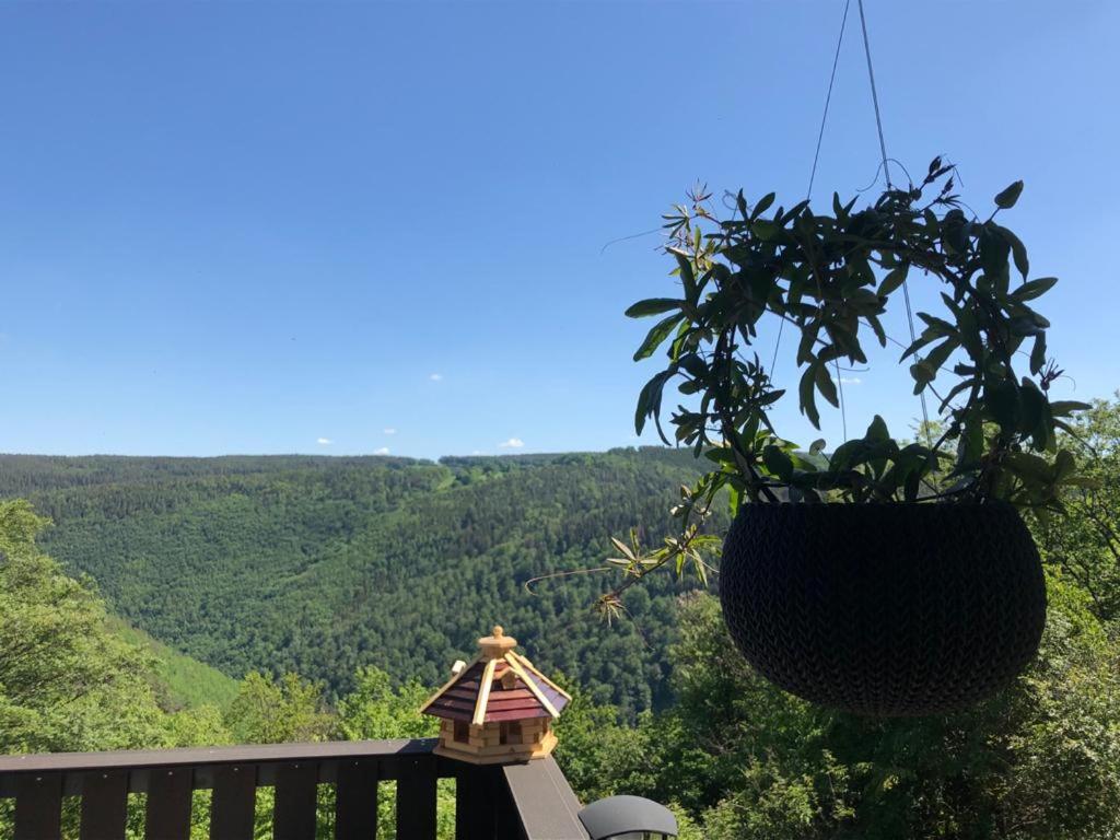 Bungalow Schwarzatalblick in Bad Blankenburg Ortsteil Böhlscheiben