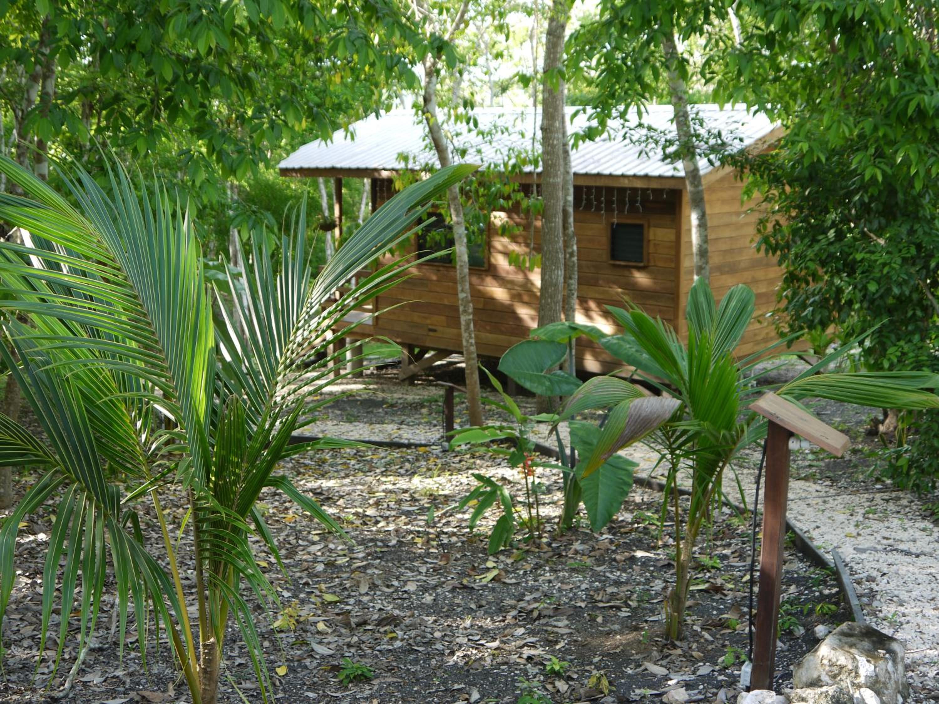 Photo 25