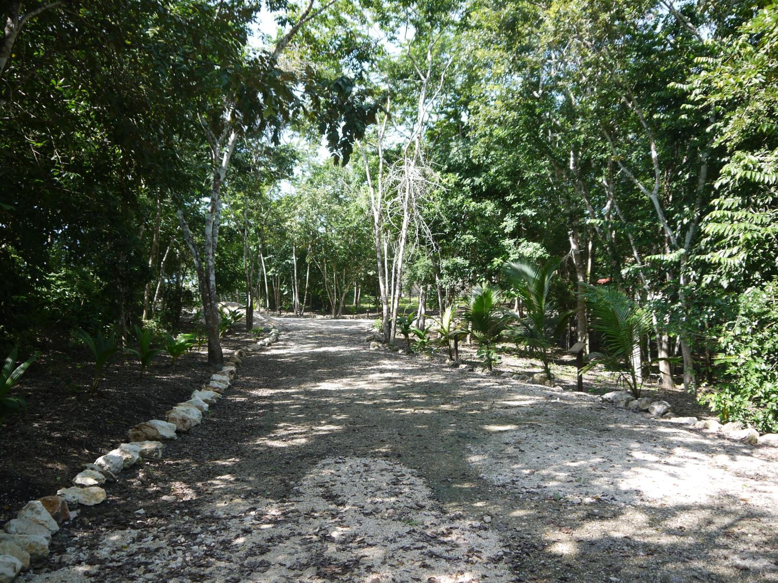 Photo 31