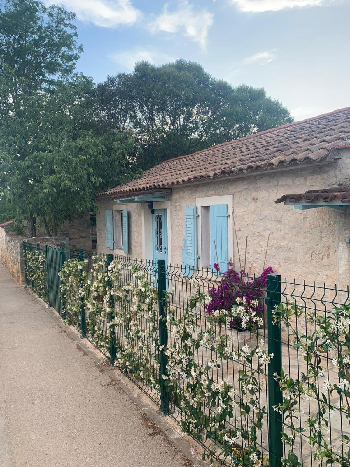 Vila Majda