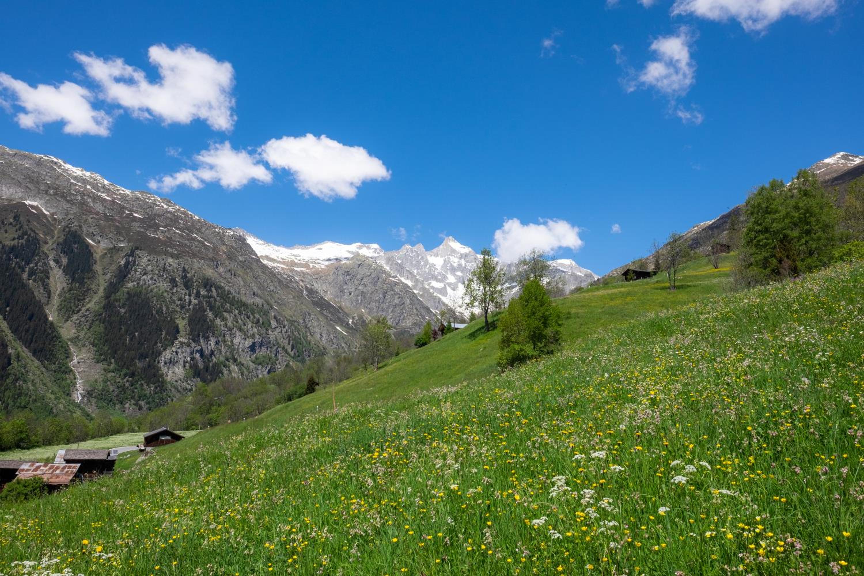 Chalet Orion view 4