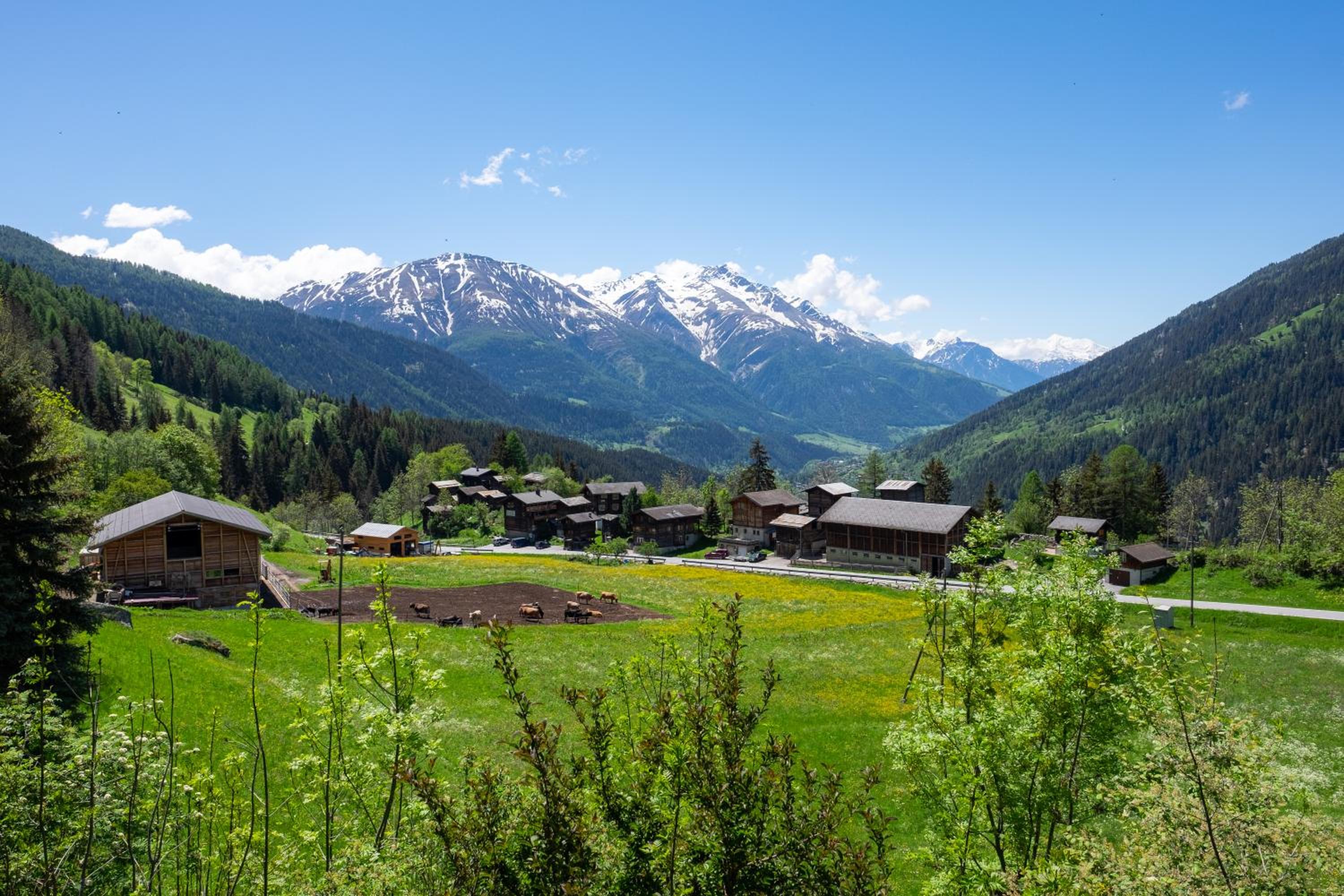 Chalet Orion view 3