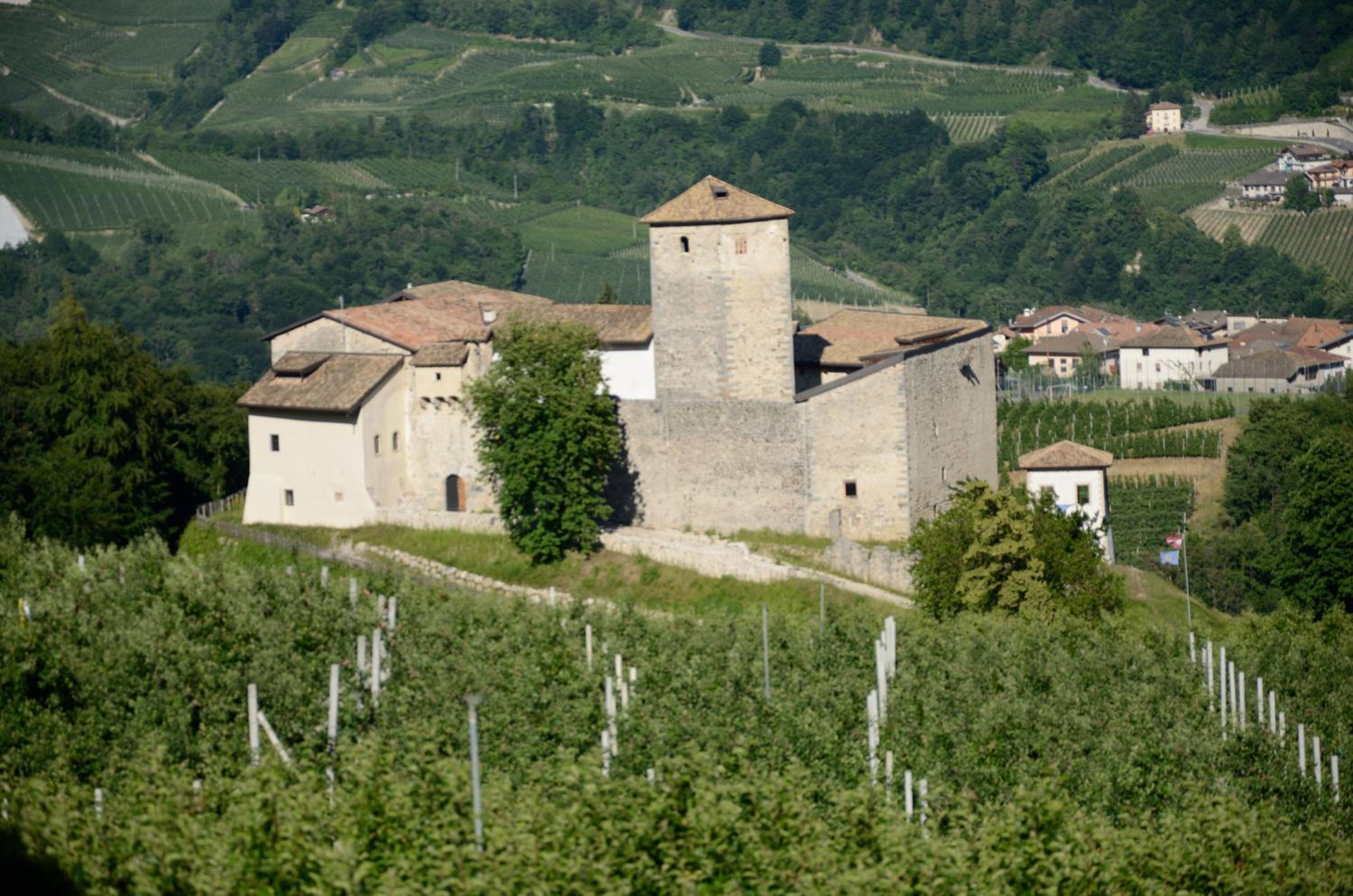 Al Trifoglio