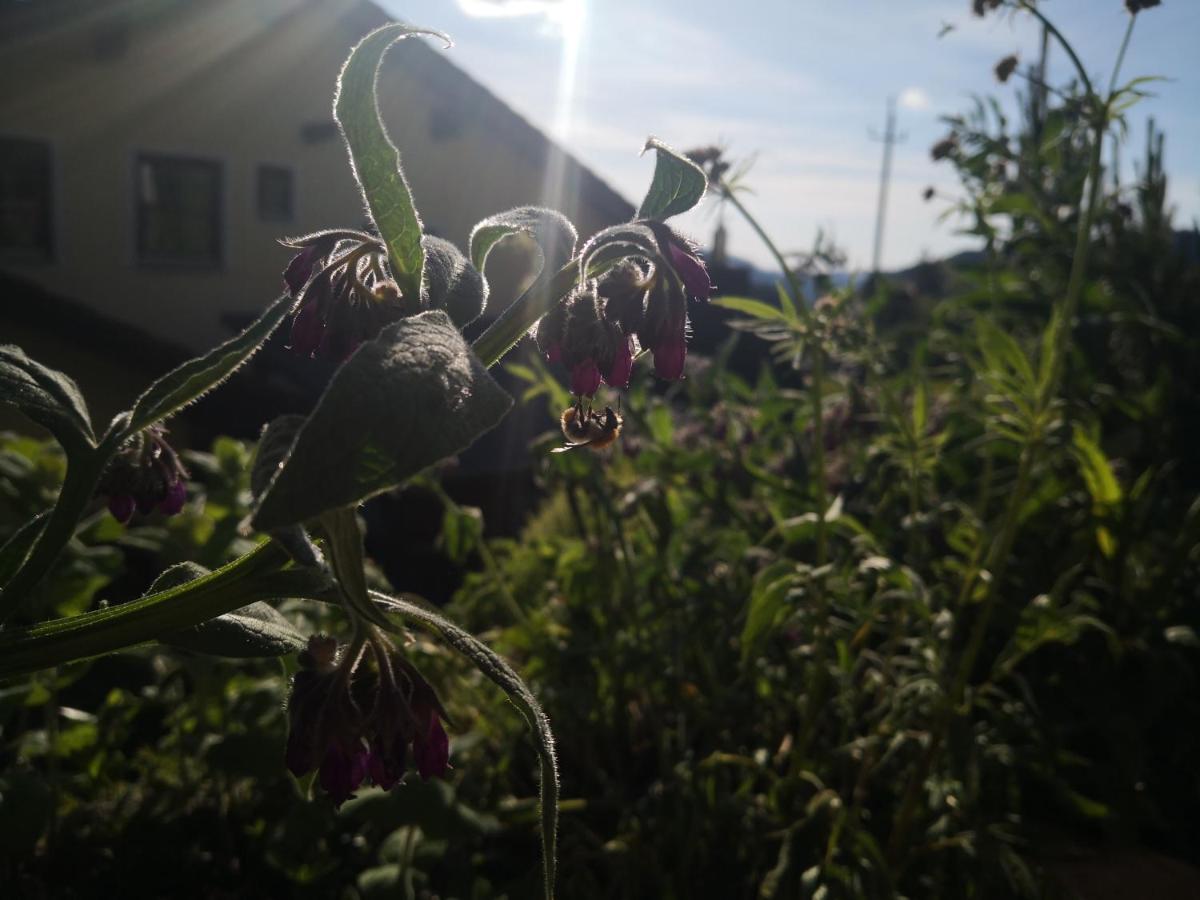 Photo 45