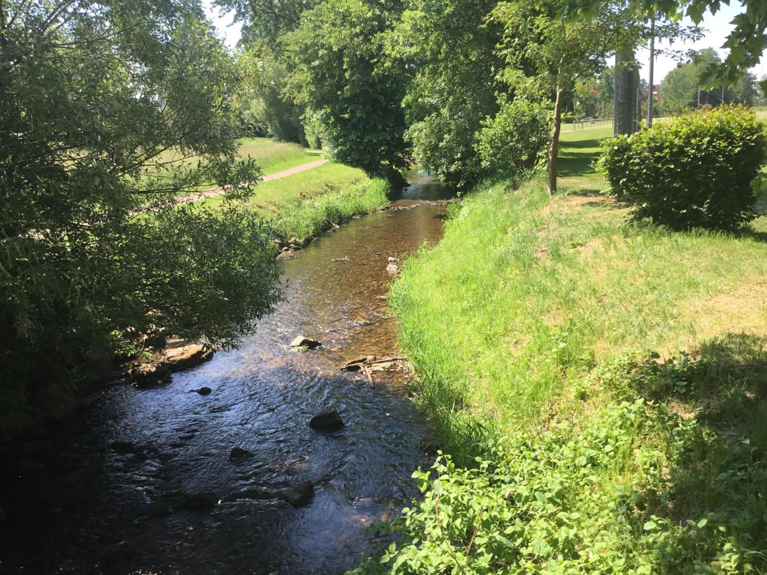 Photo 44