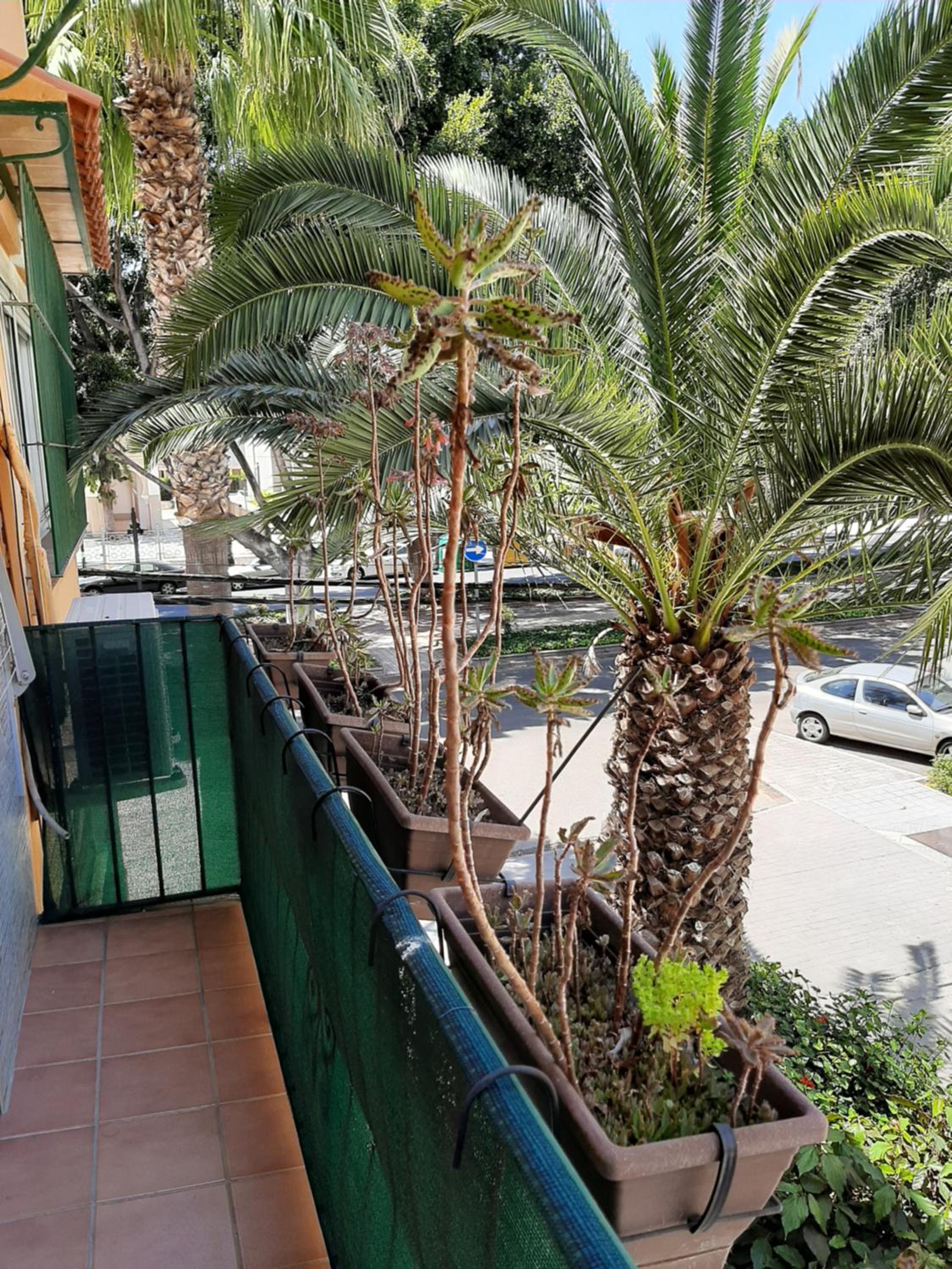 New Apartment & Parking Alcazaba
