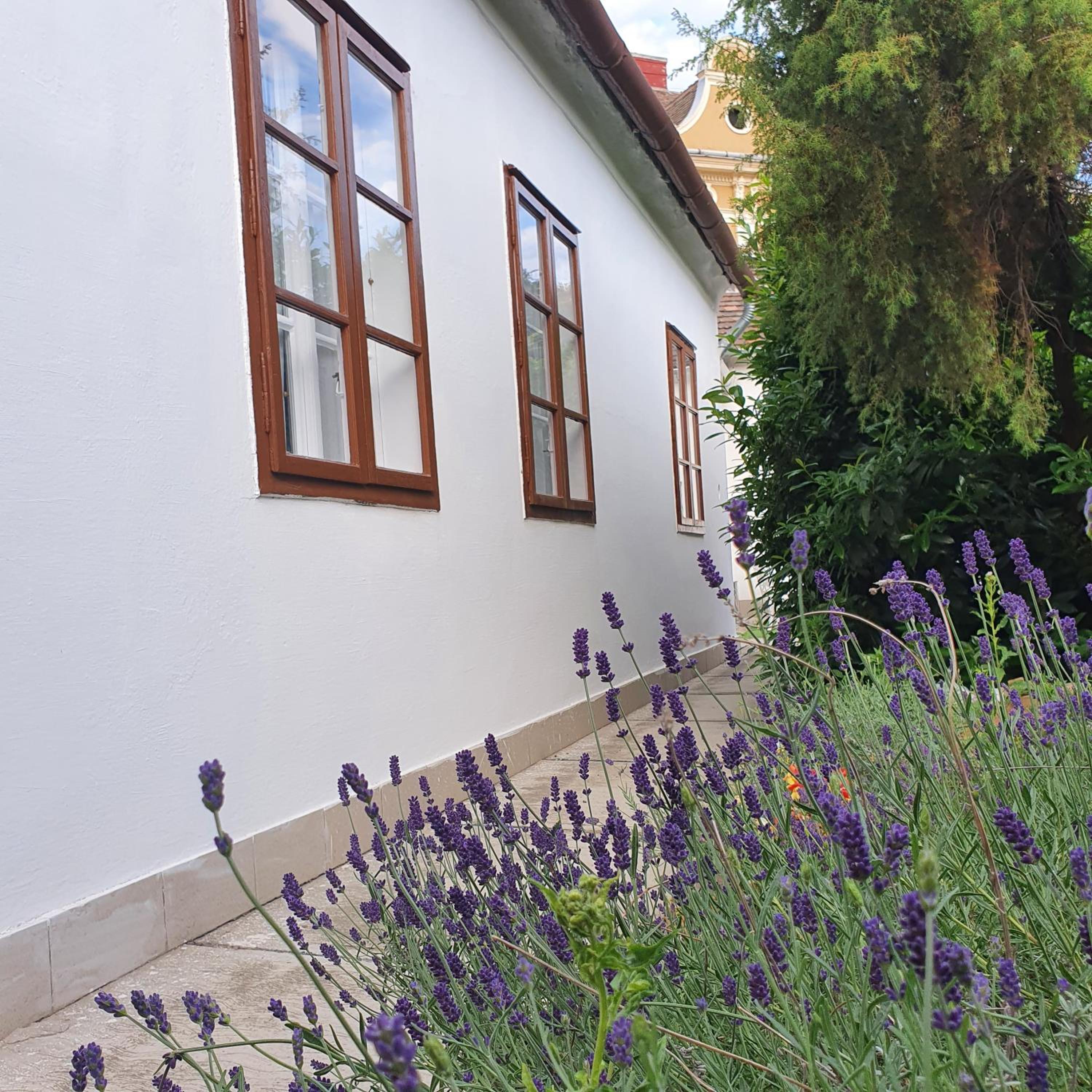 Corte Apartman view 3