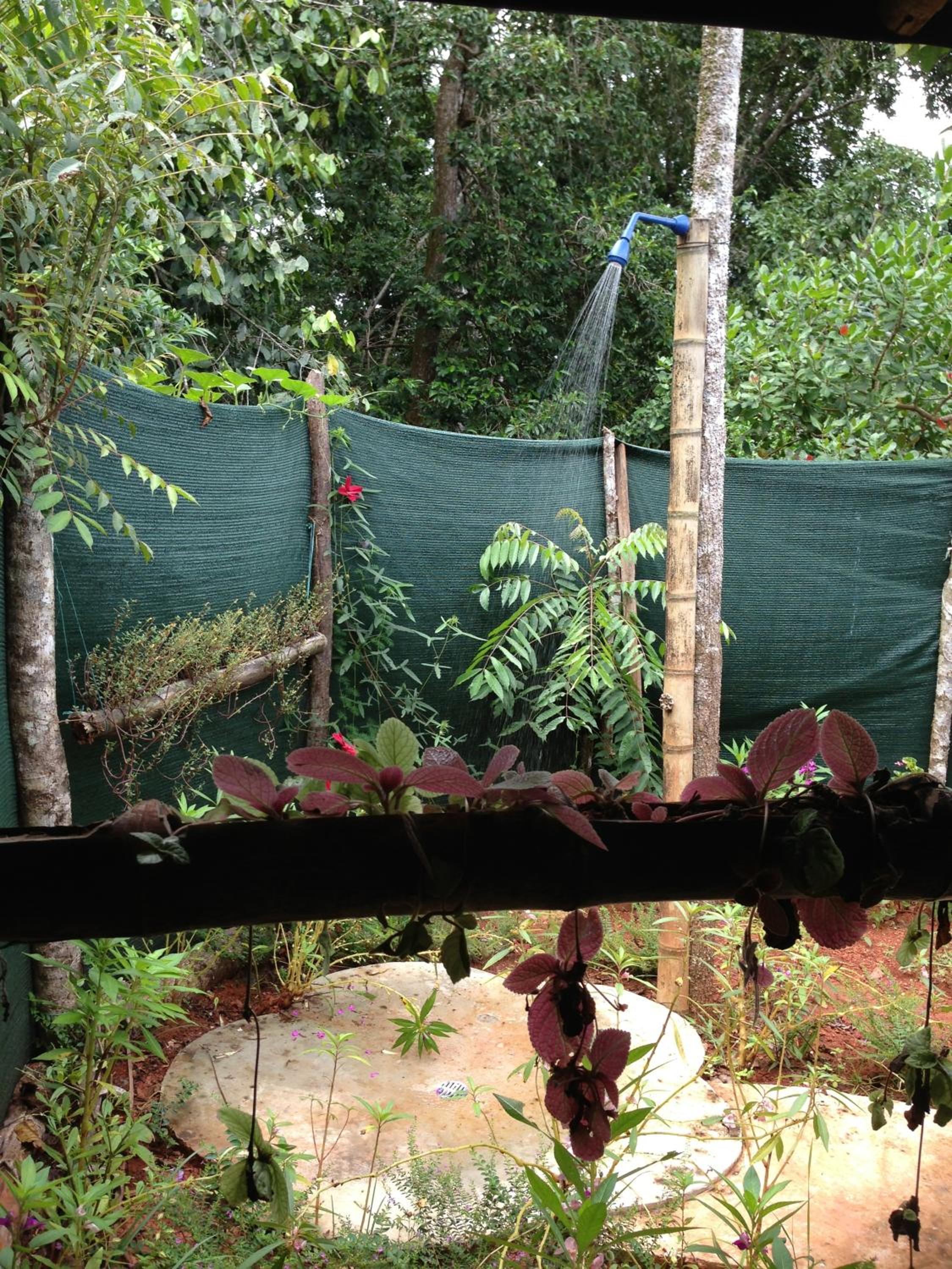 Isla Violin Eco-Lodge