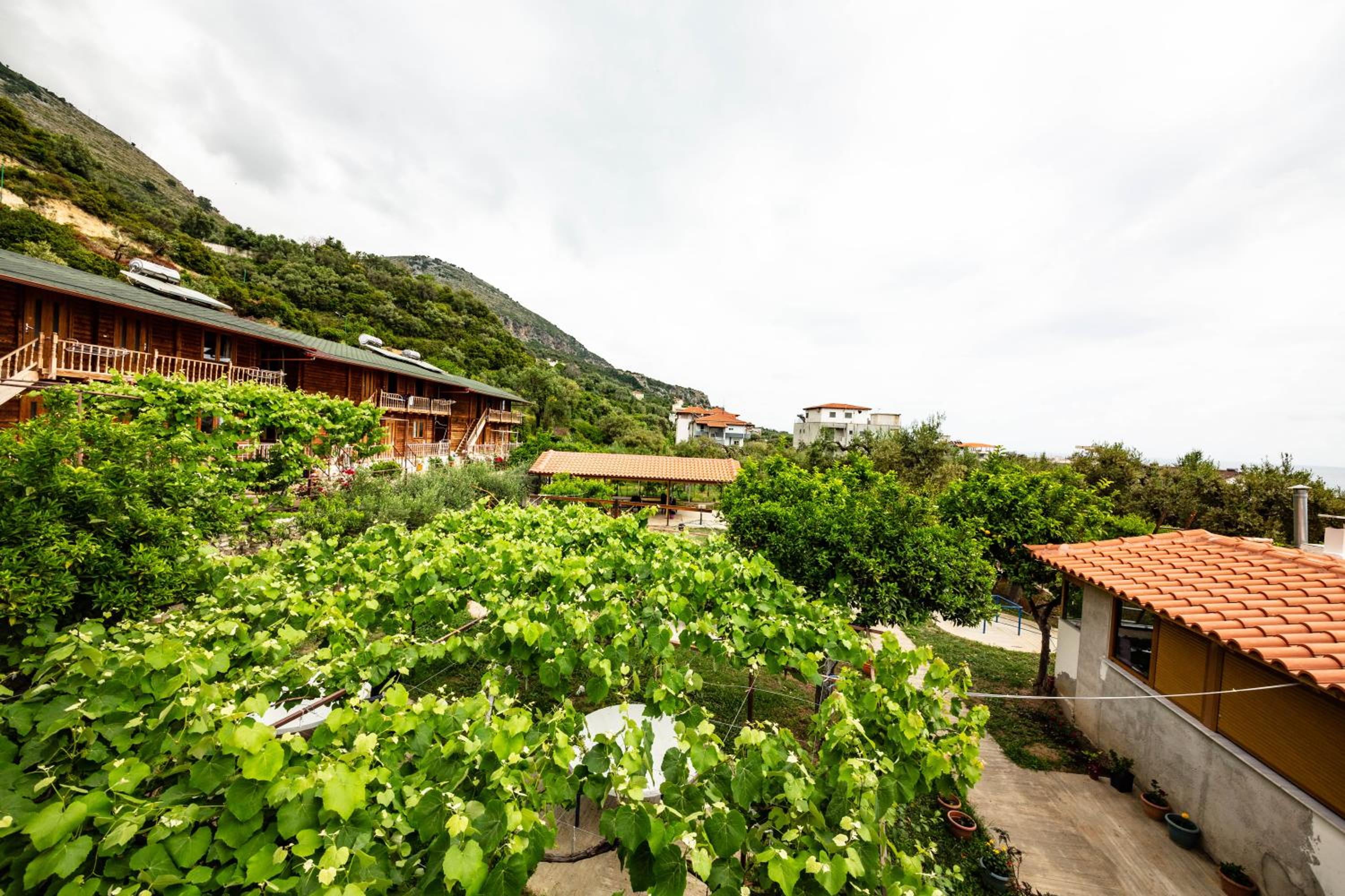 Guest House Luiza
