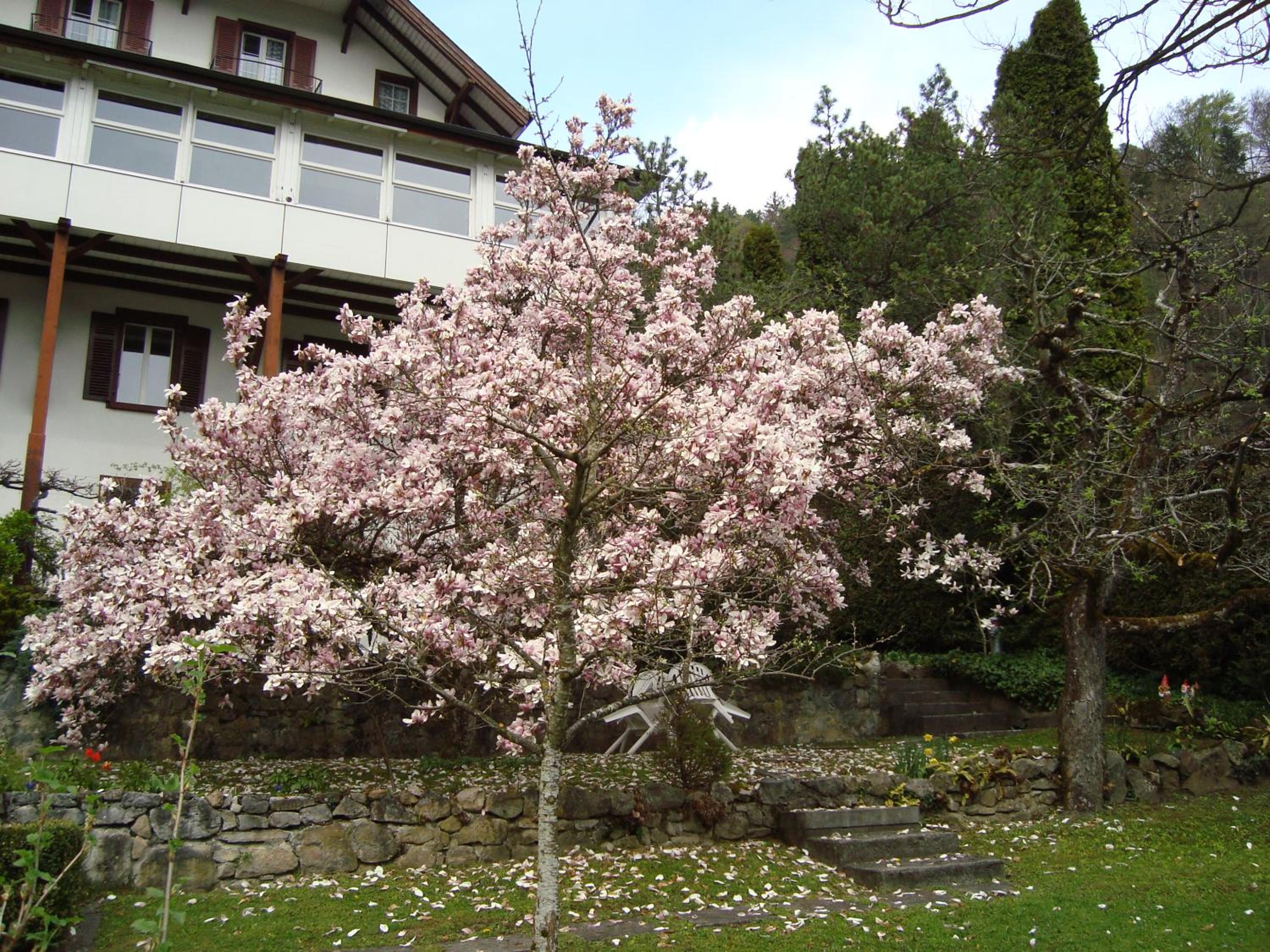Hotel Beatus