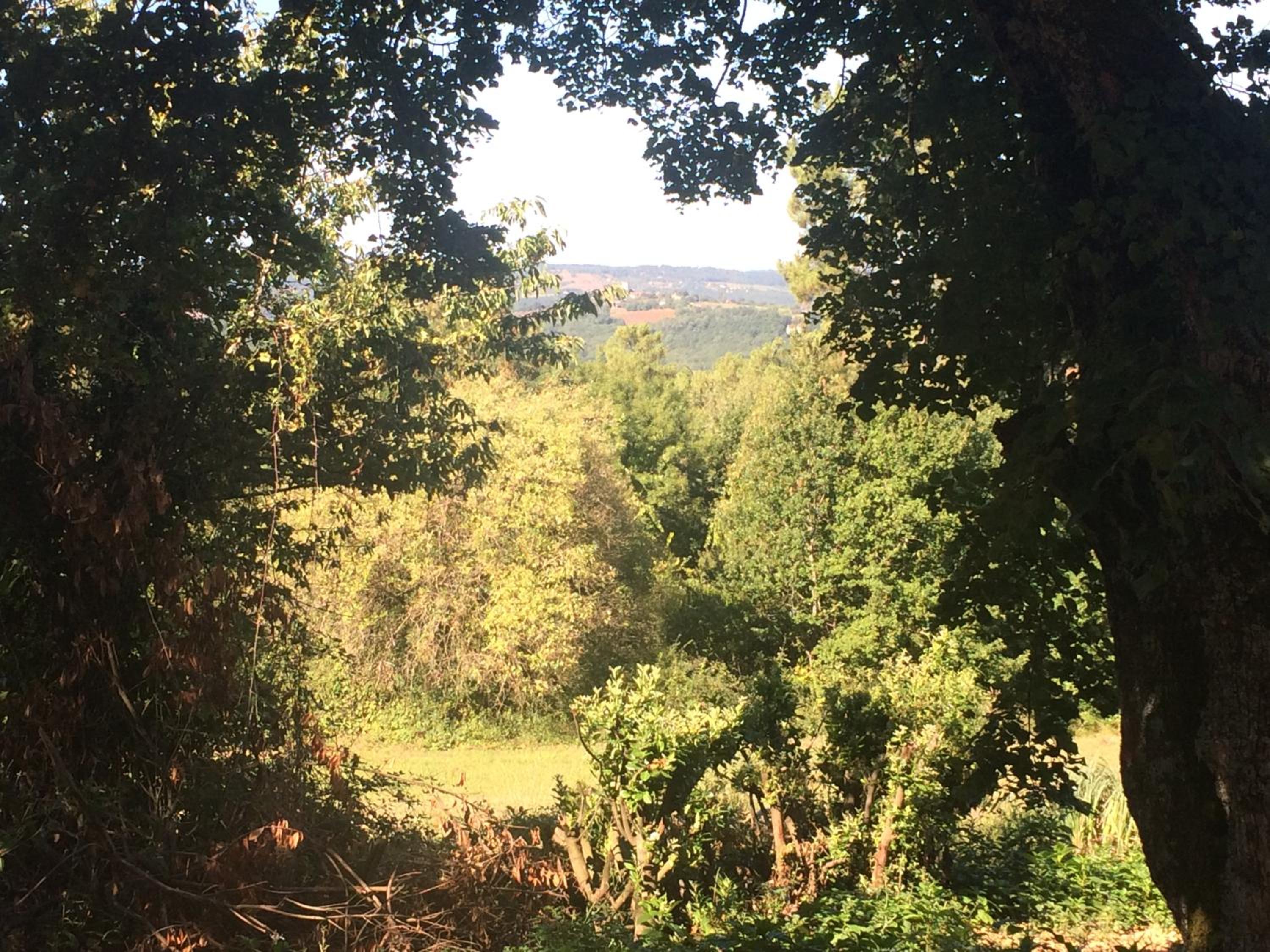 Chambre Romantique view 5