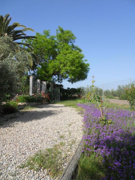 La Aragonesa view 3