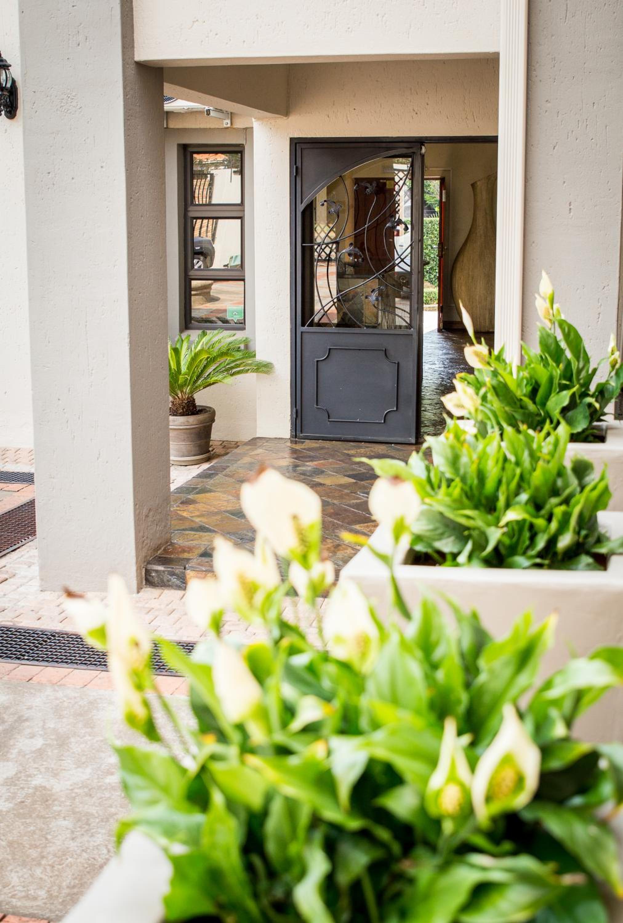 The Wild Olive Guest House
