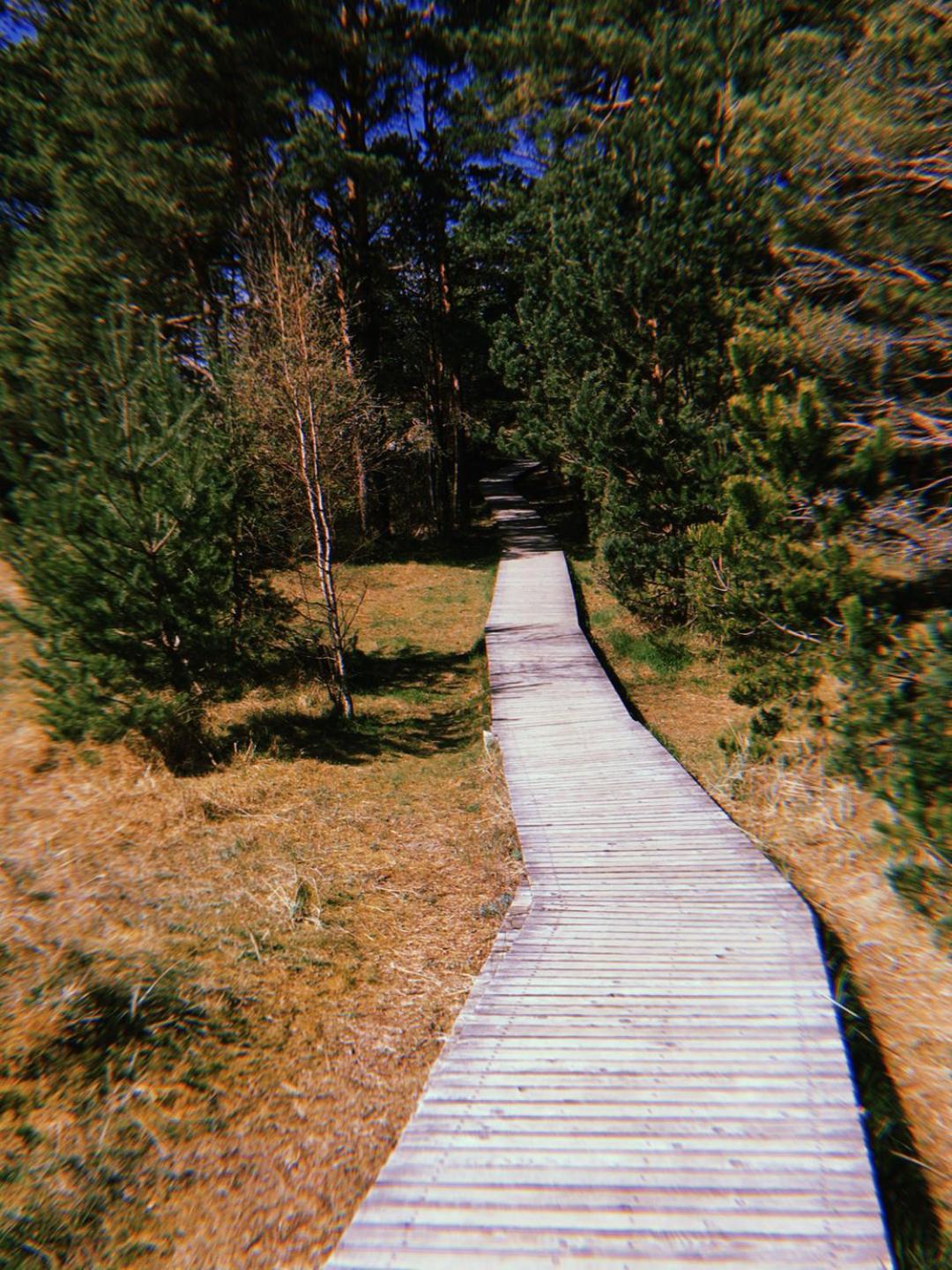 Photo 30