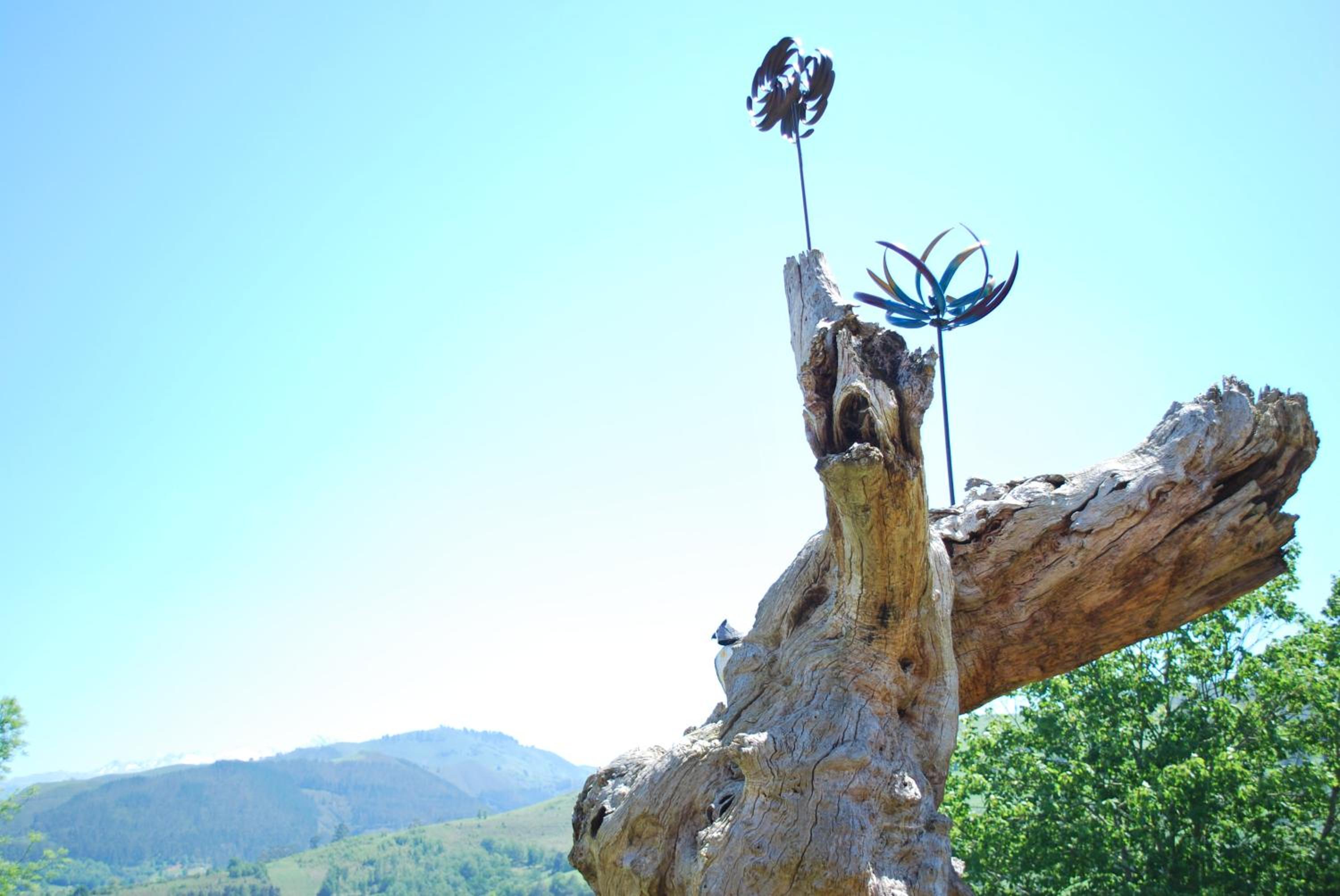 Aptos rurales Mirador Picos de Europa