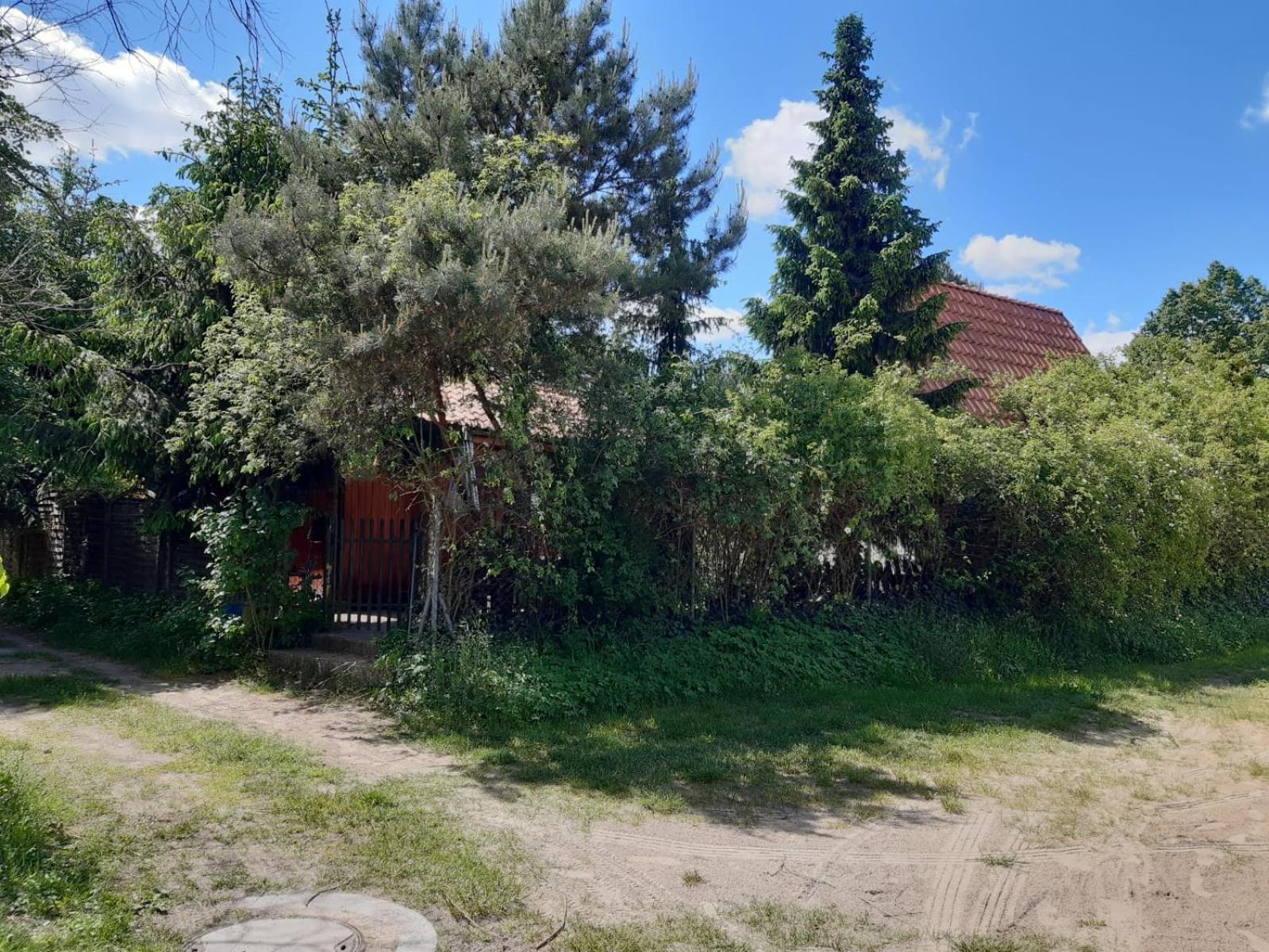 Photo 14