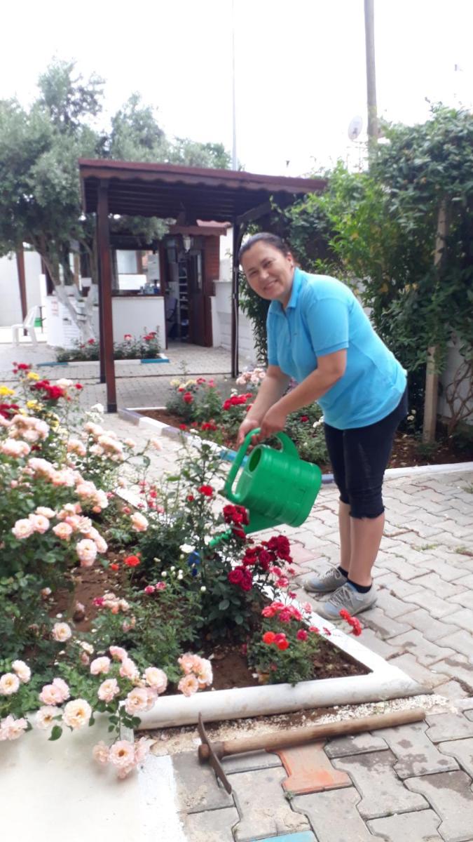Photo 28