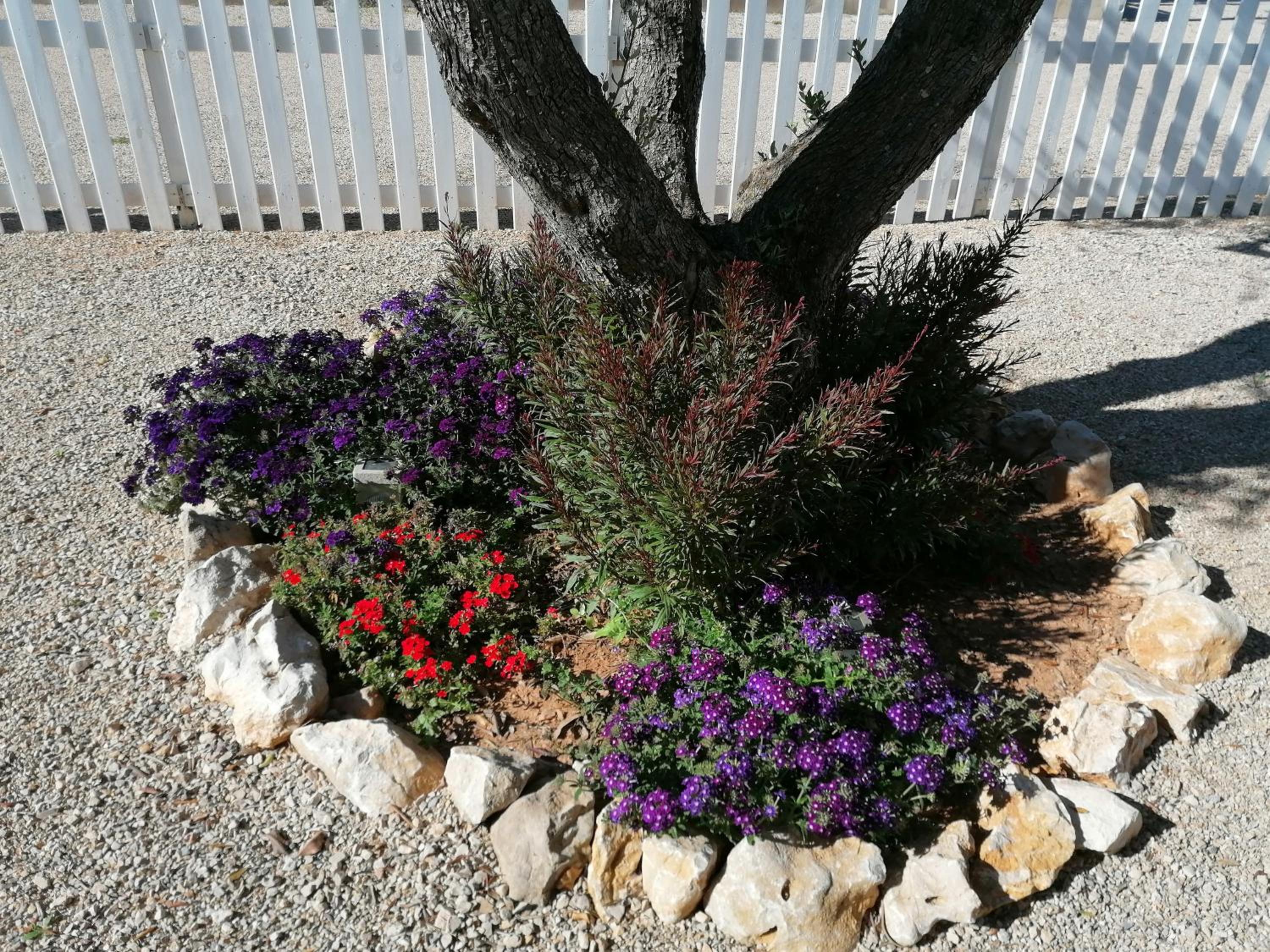 Photo 25