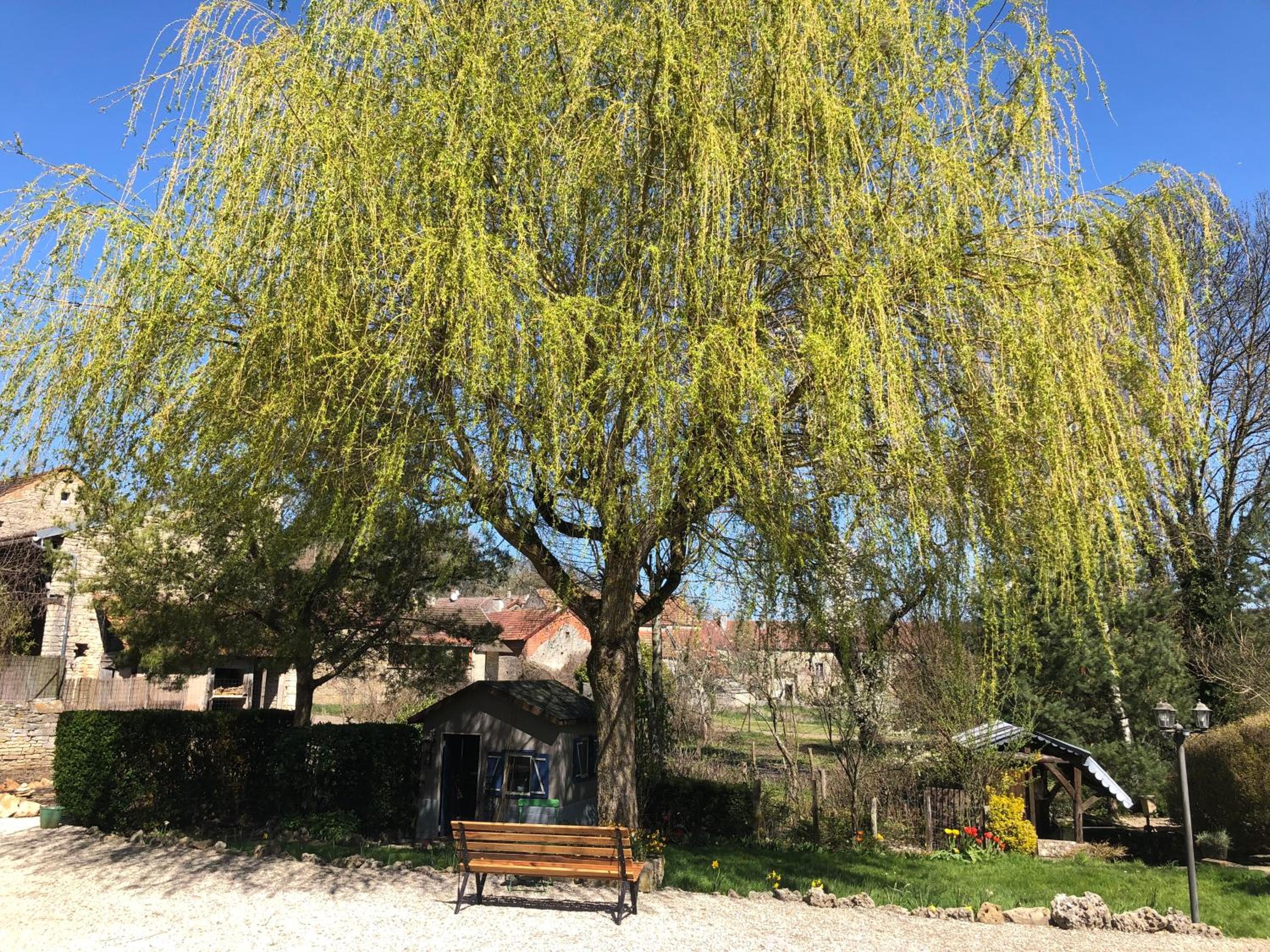 Photo 10