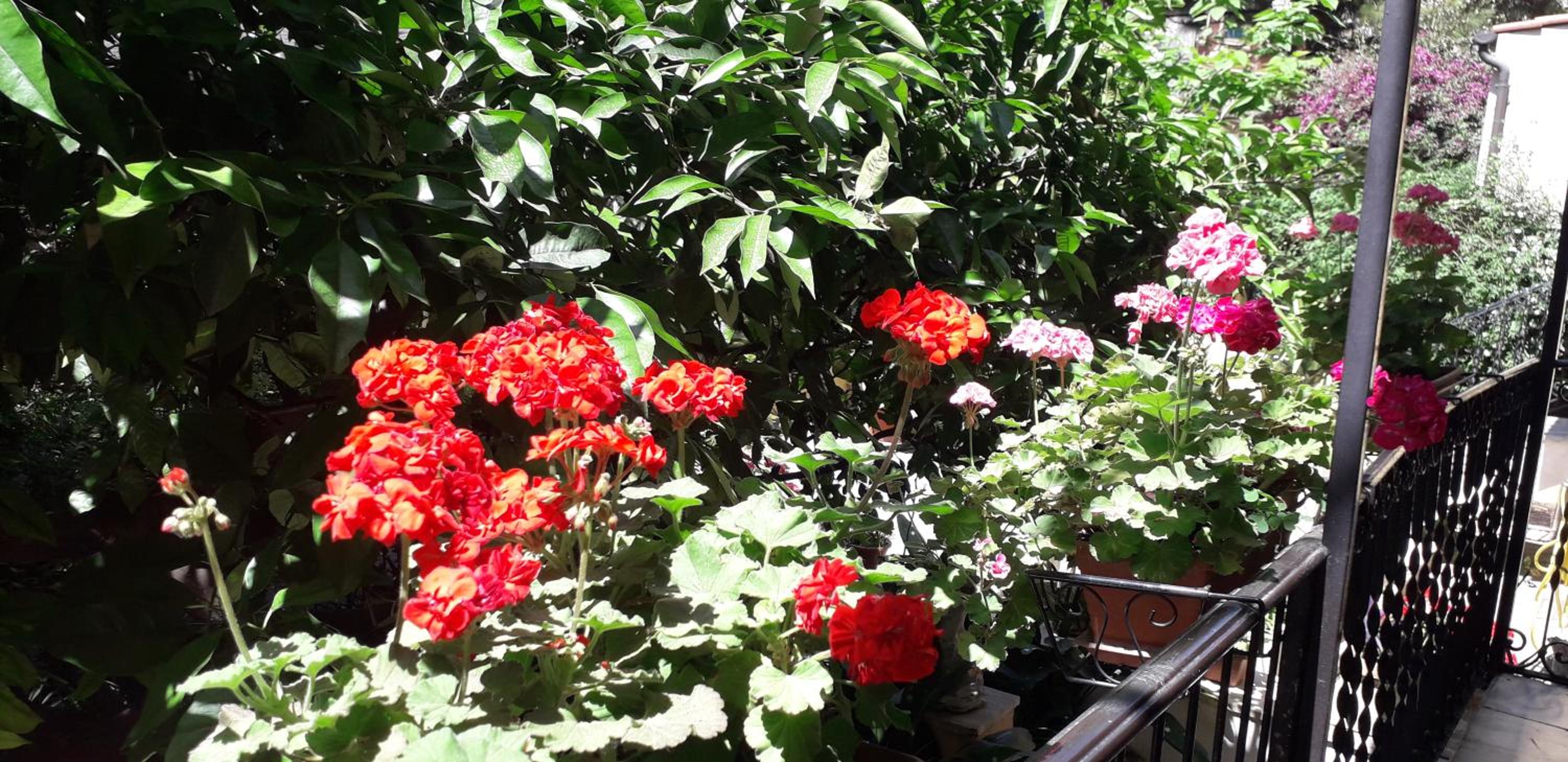 Gioia Guest House