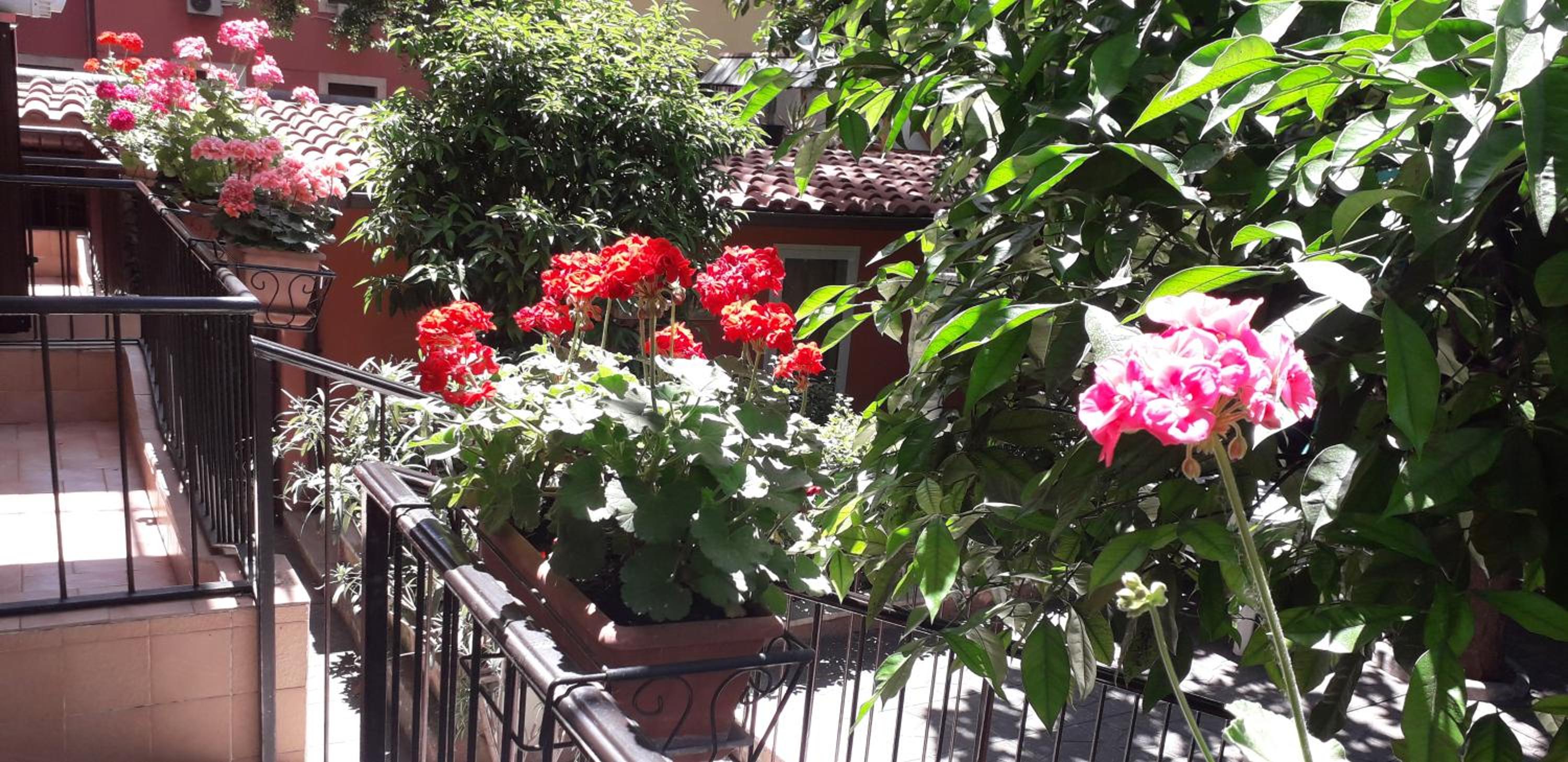 Gioia Guest House