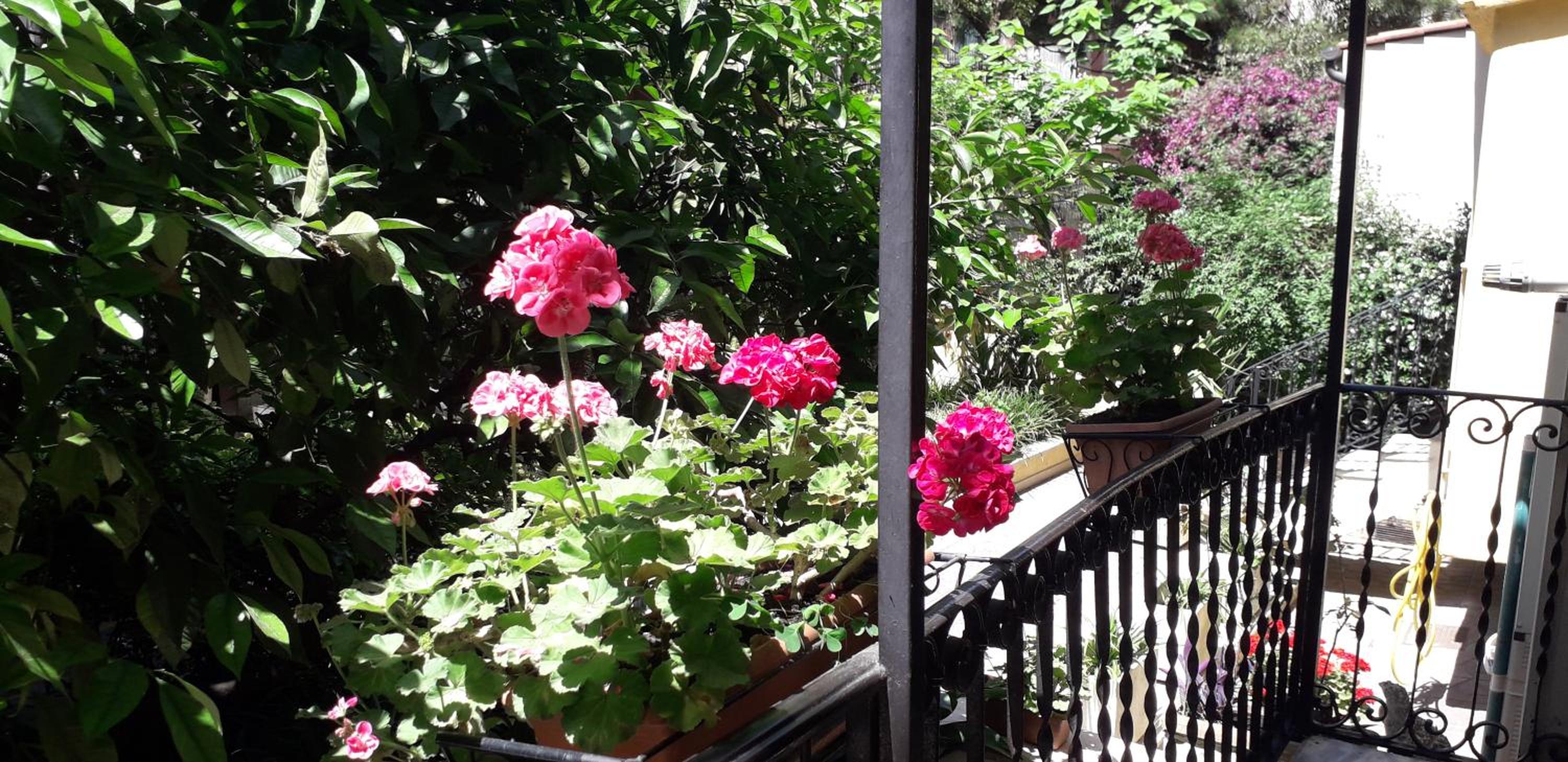 Gioia Guest House