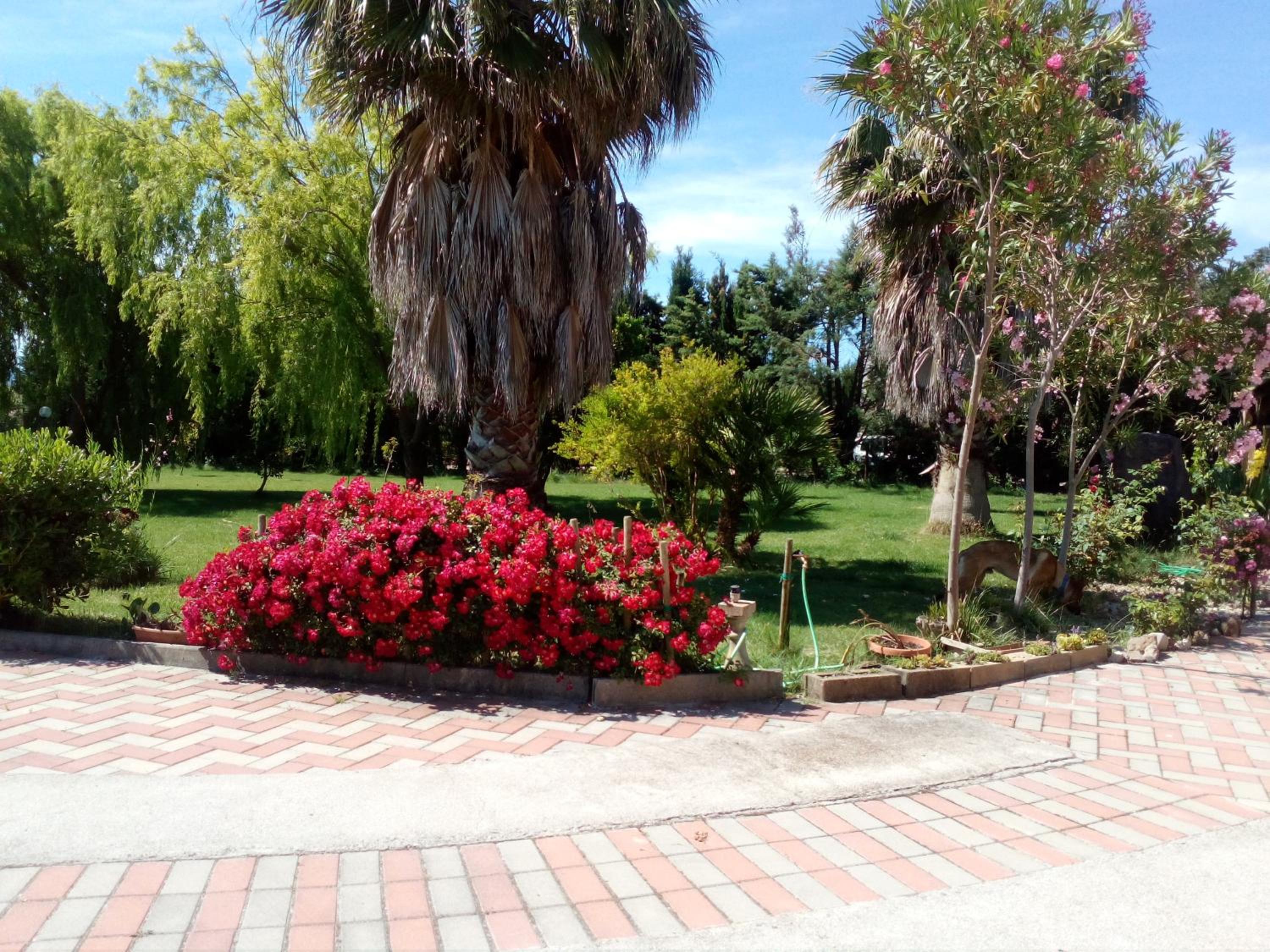 Photo 49