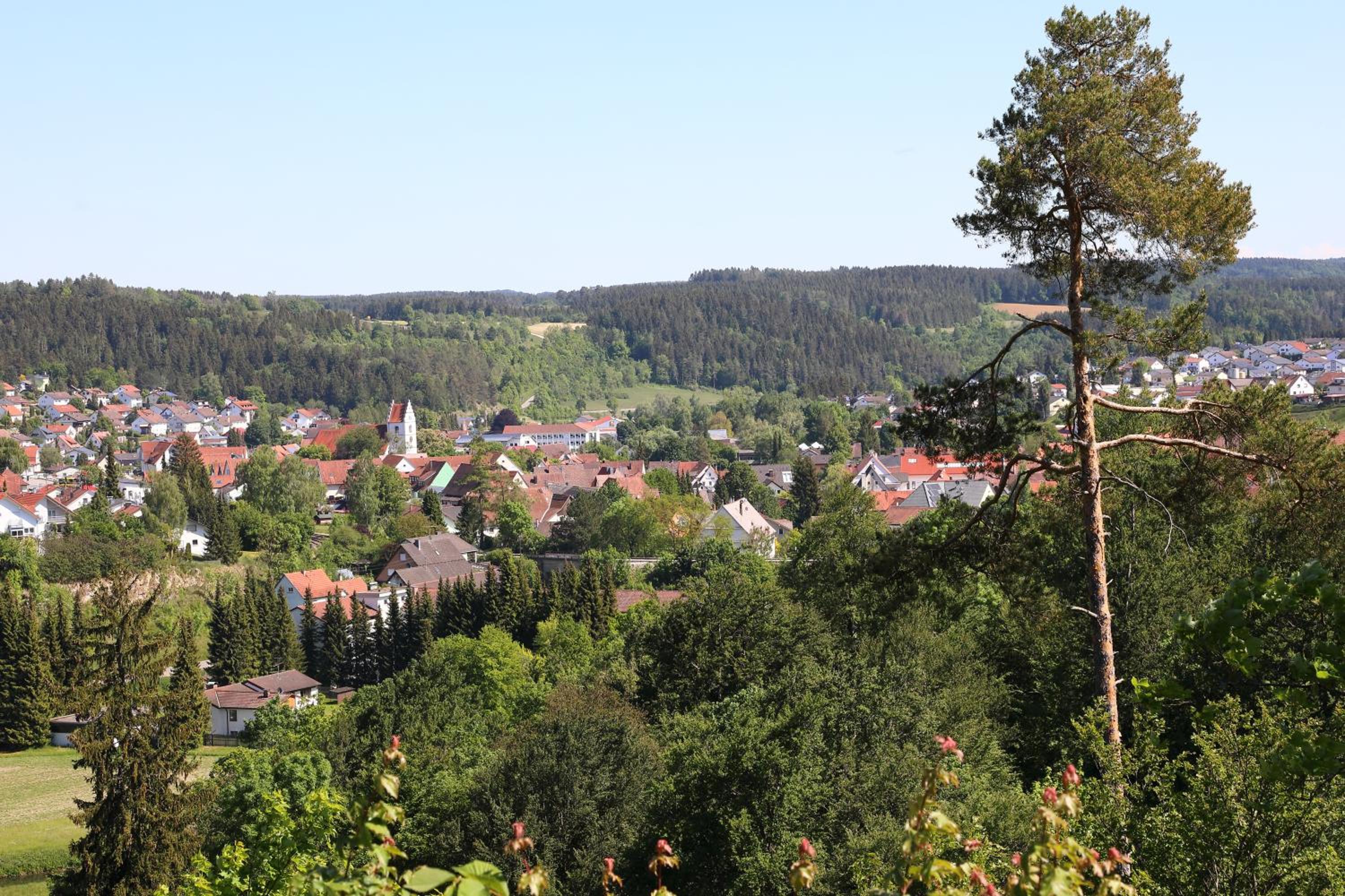 Albglück view 2