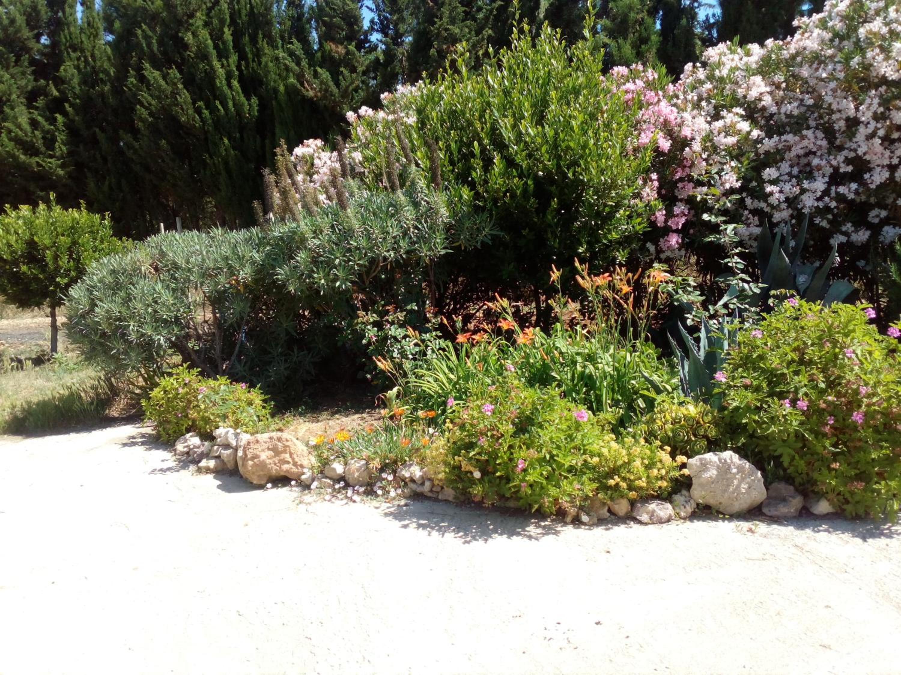 Photo 42