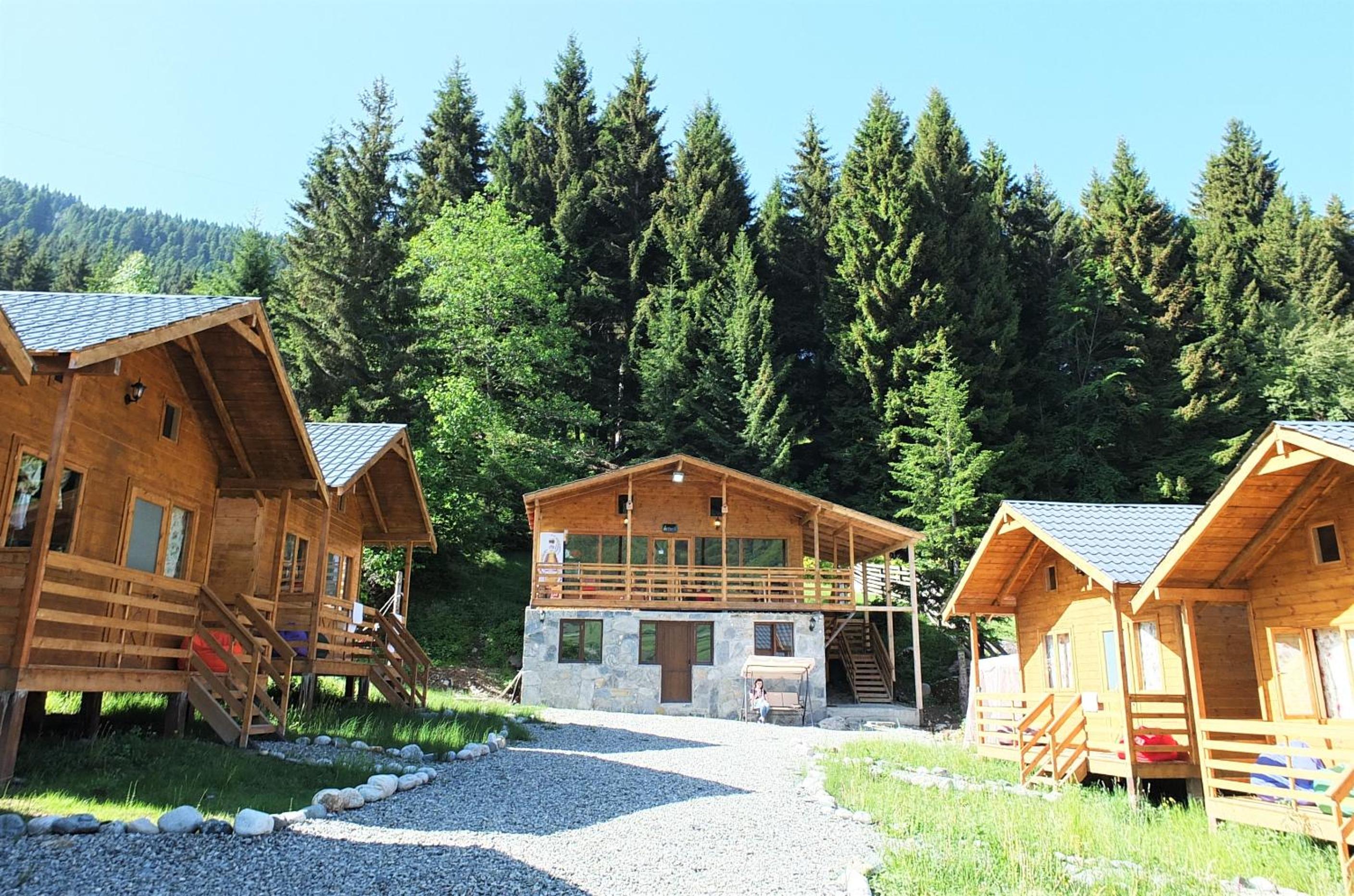Mountain Cabins view 2
