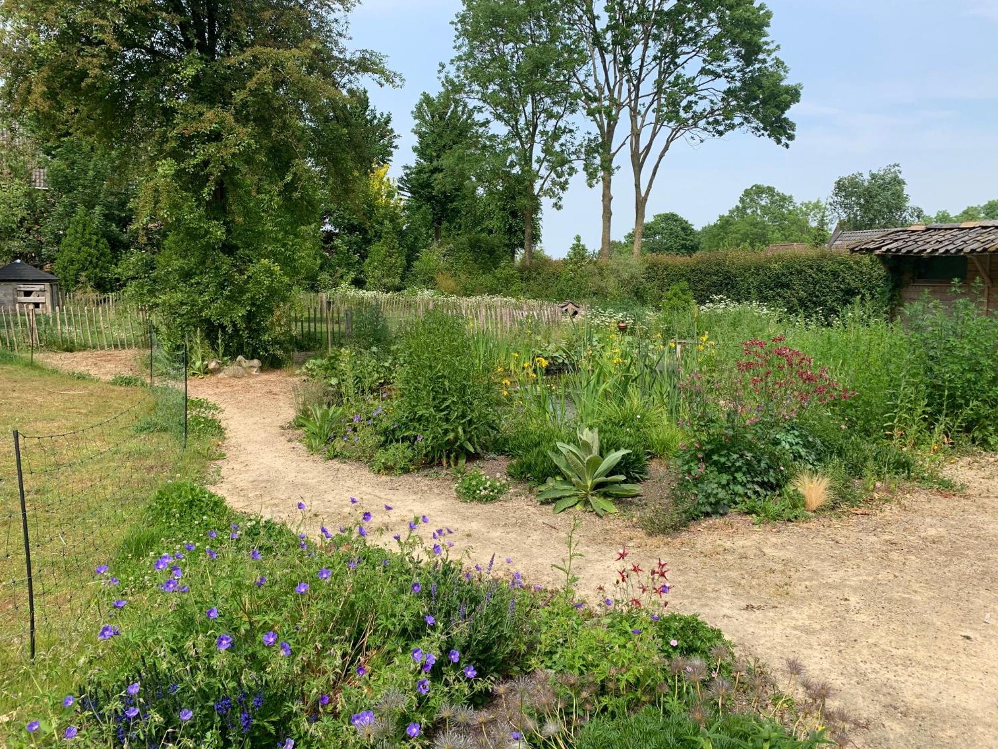 B&B Pastorie Jelsum
