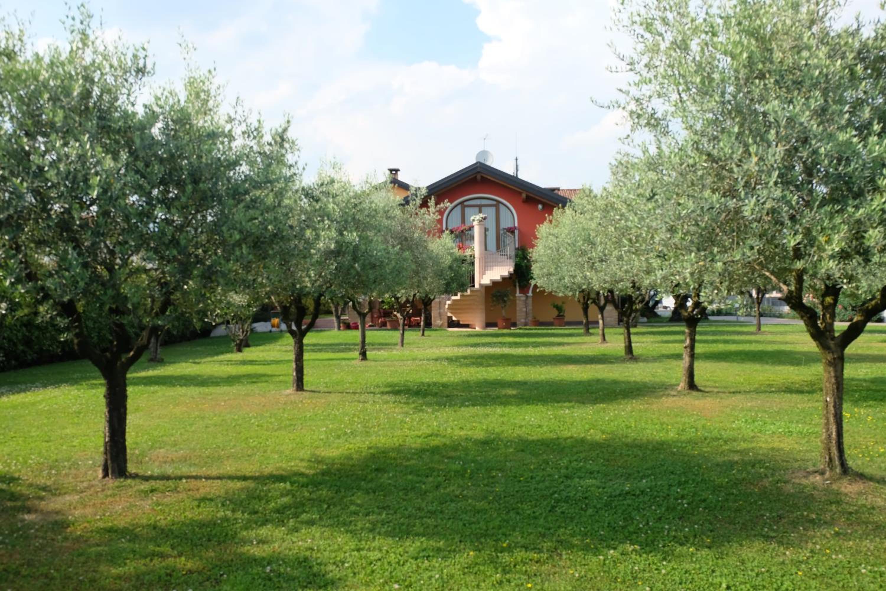 B&B agli Ulivi view 4