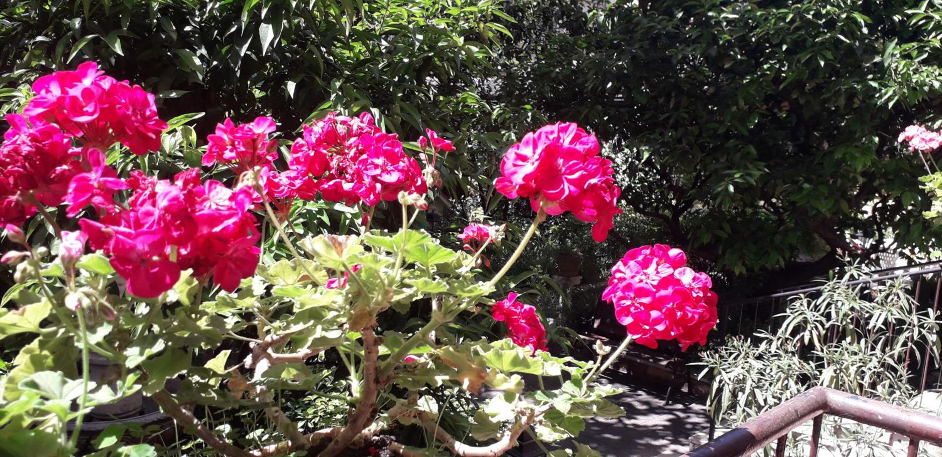 Gioia Guest House