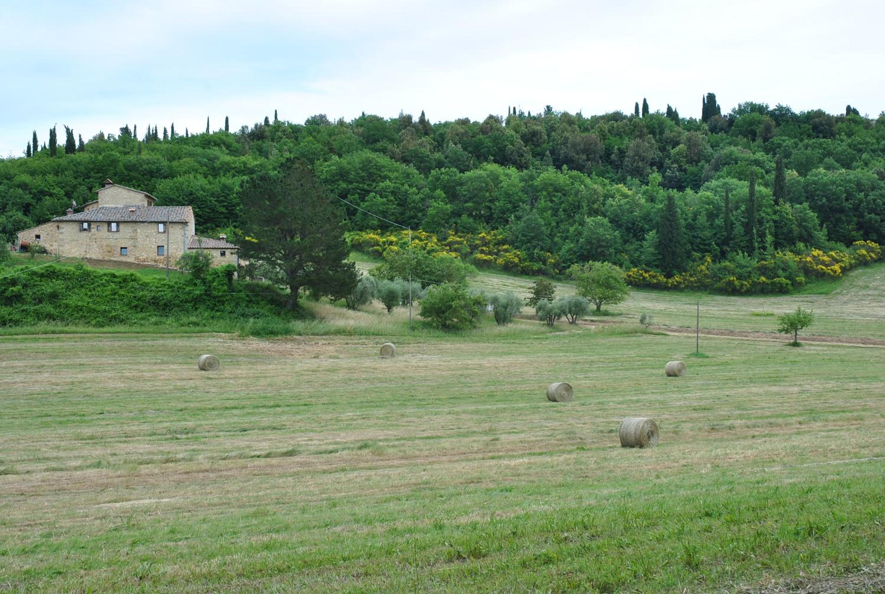 Agriturismo Podere La Paolina - Residenza di Charme