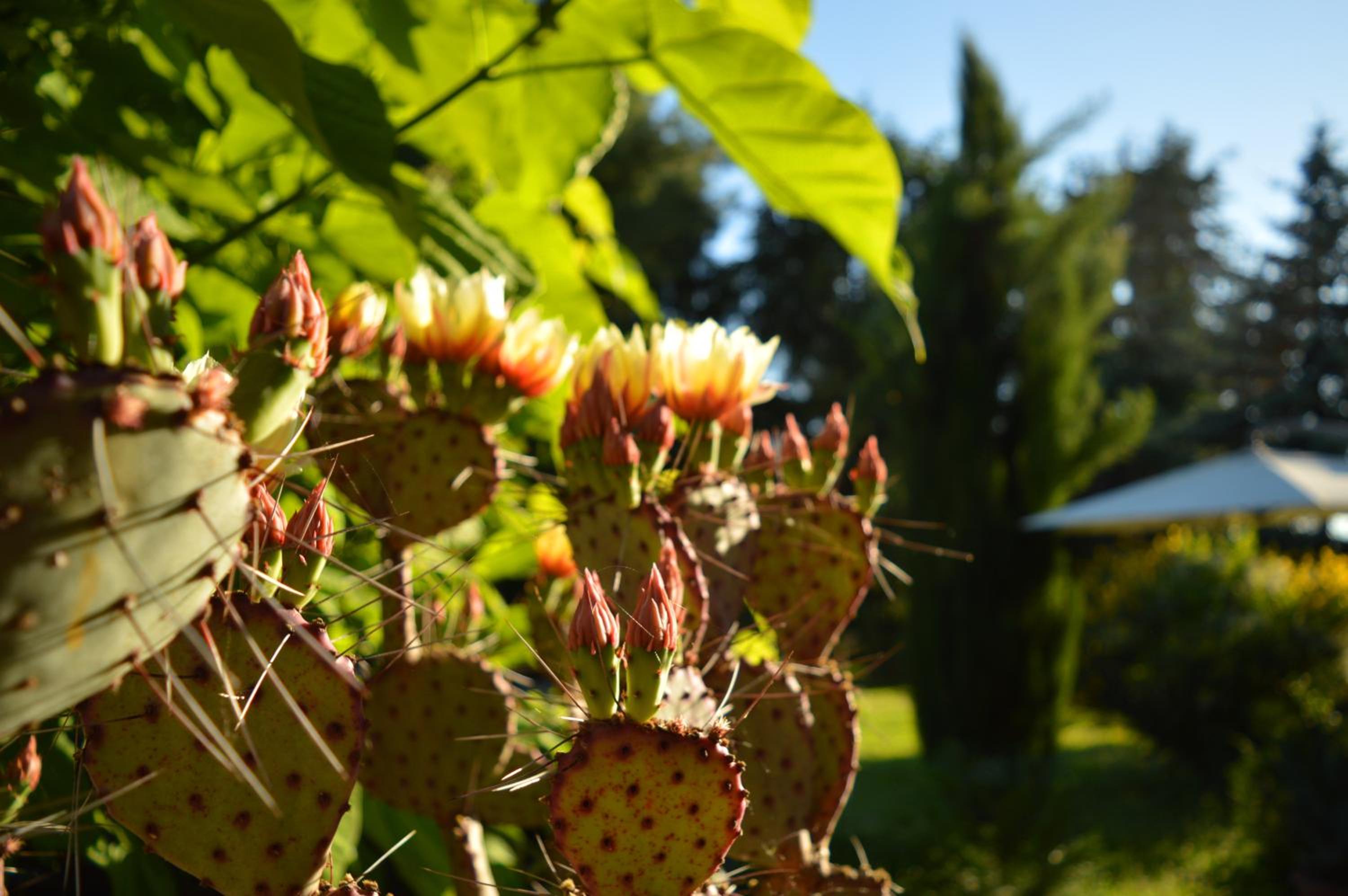 Bed & Tours Dimora di campagna